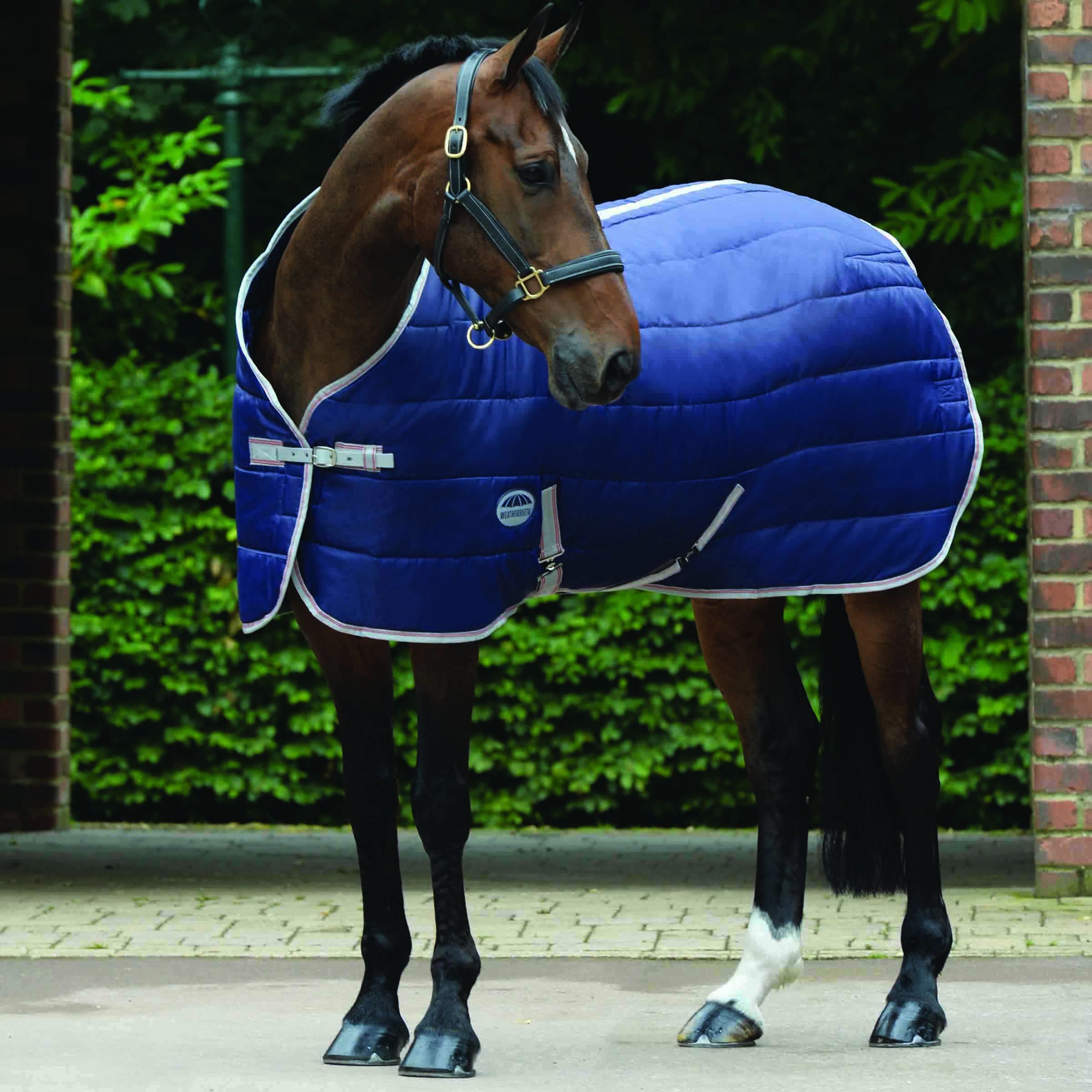 Weatherbeeta Comfitec 210d STABLE Rug 110g Channel Quilt Std Neck Medium/Lite