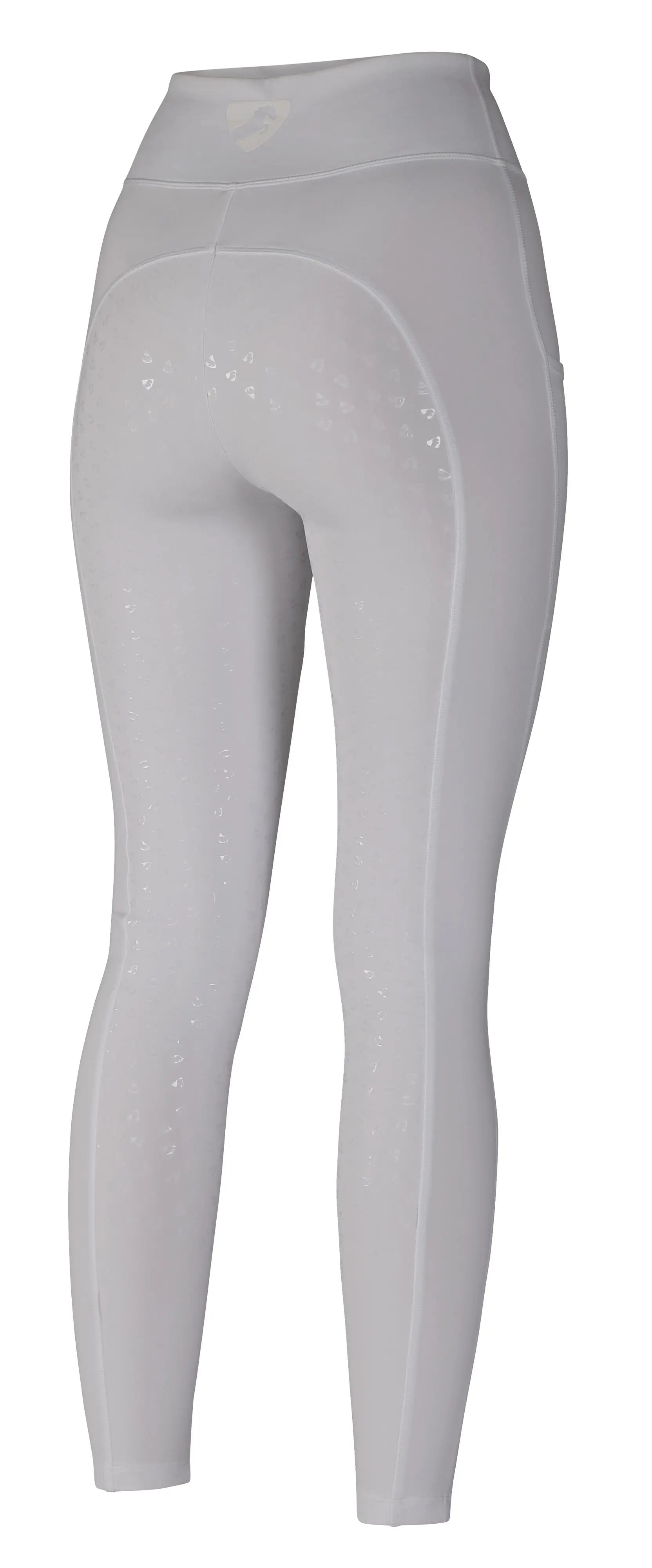Shires Aubrion Hudson Horse Riding Tights