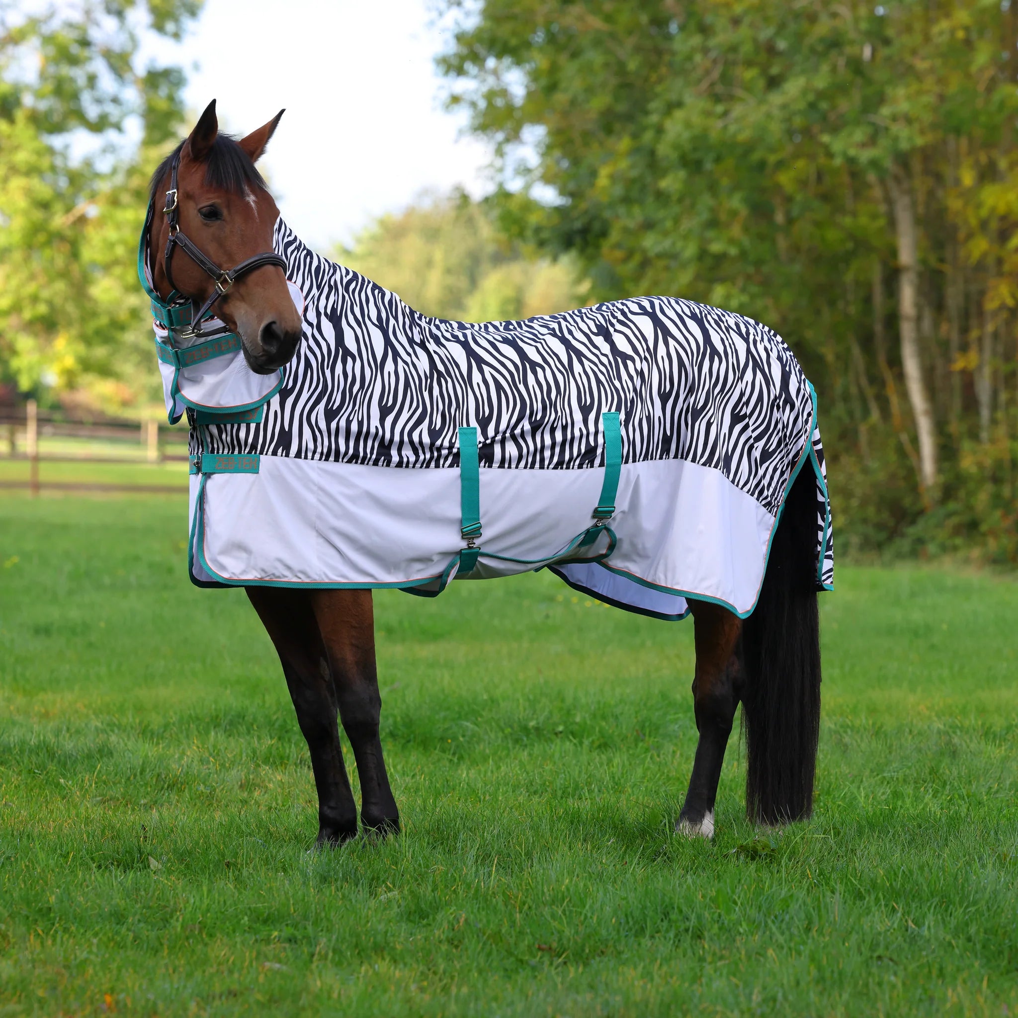 Shires Tempest Original ZEB-TEK Full Neck Combo Fly Horse Rug