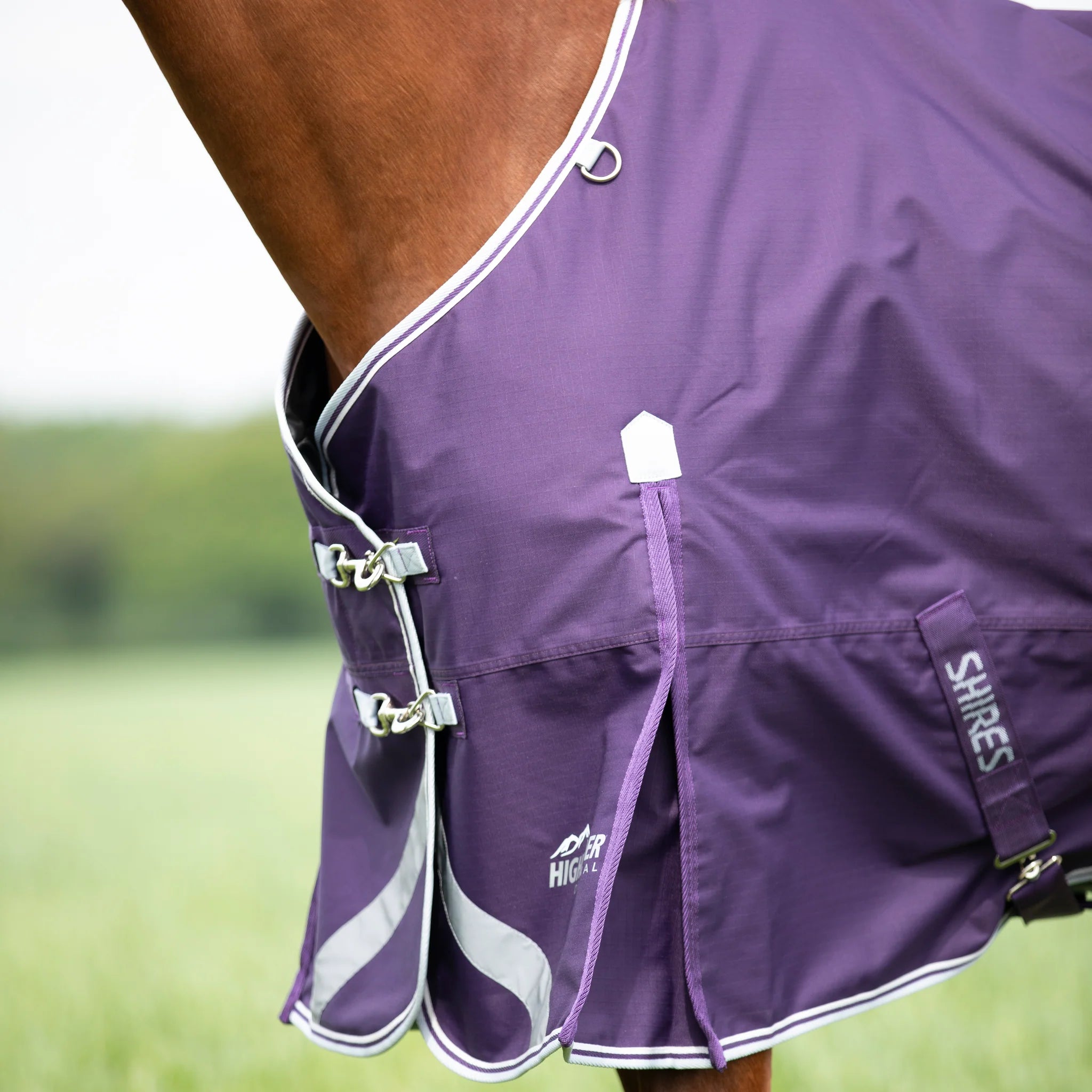 Shires Highlander Original 100g Horse/Pony Turnout Rug, Plum