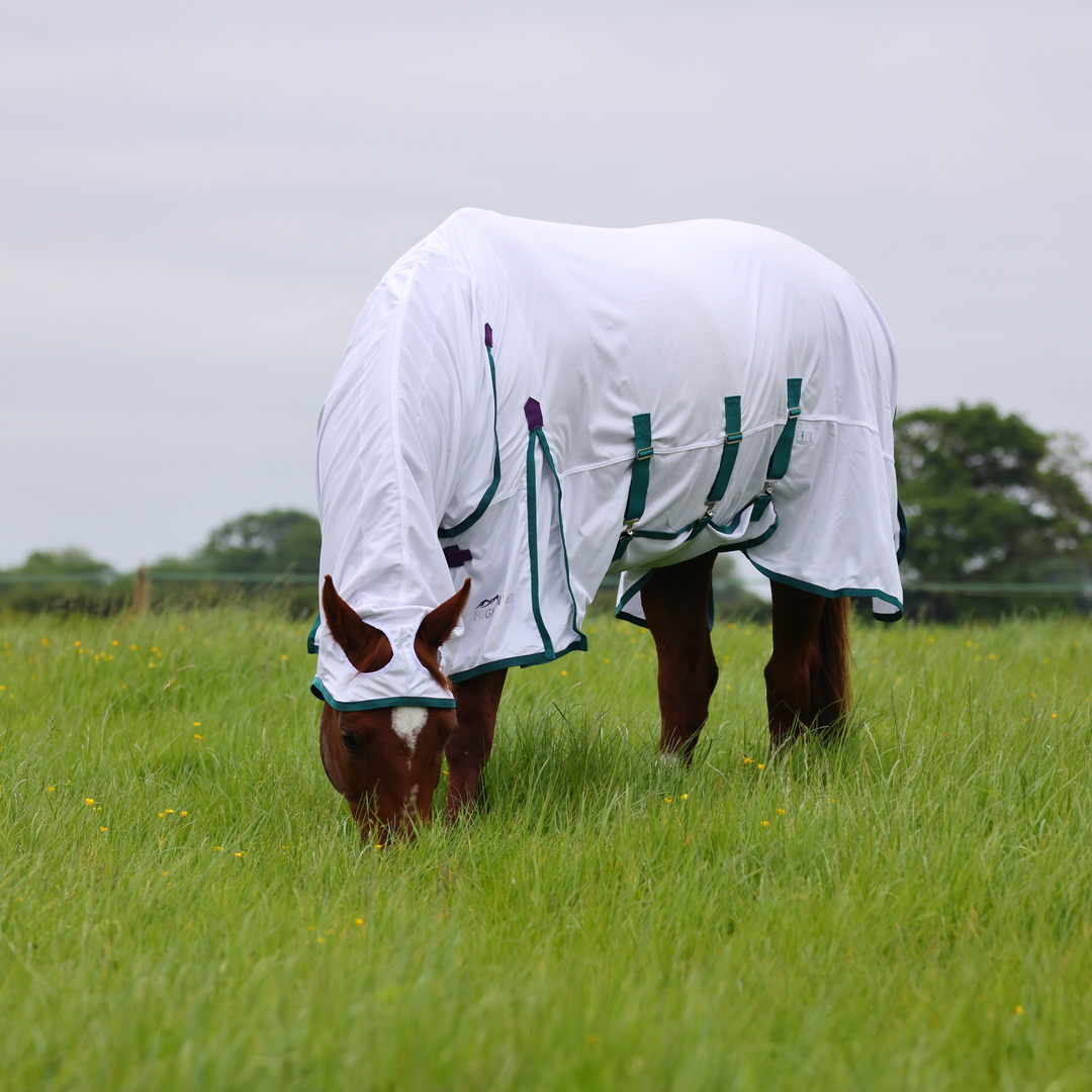 Shires Highlander Plus Full Neck Combo Fly Horse Rug Sheet