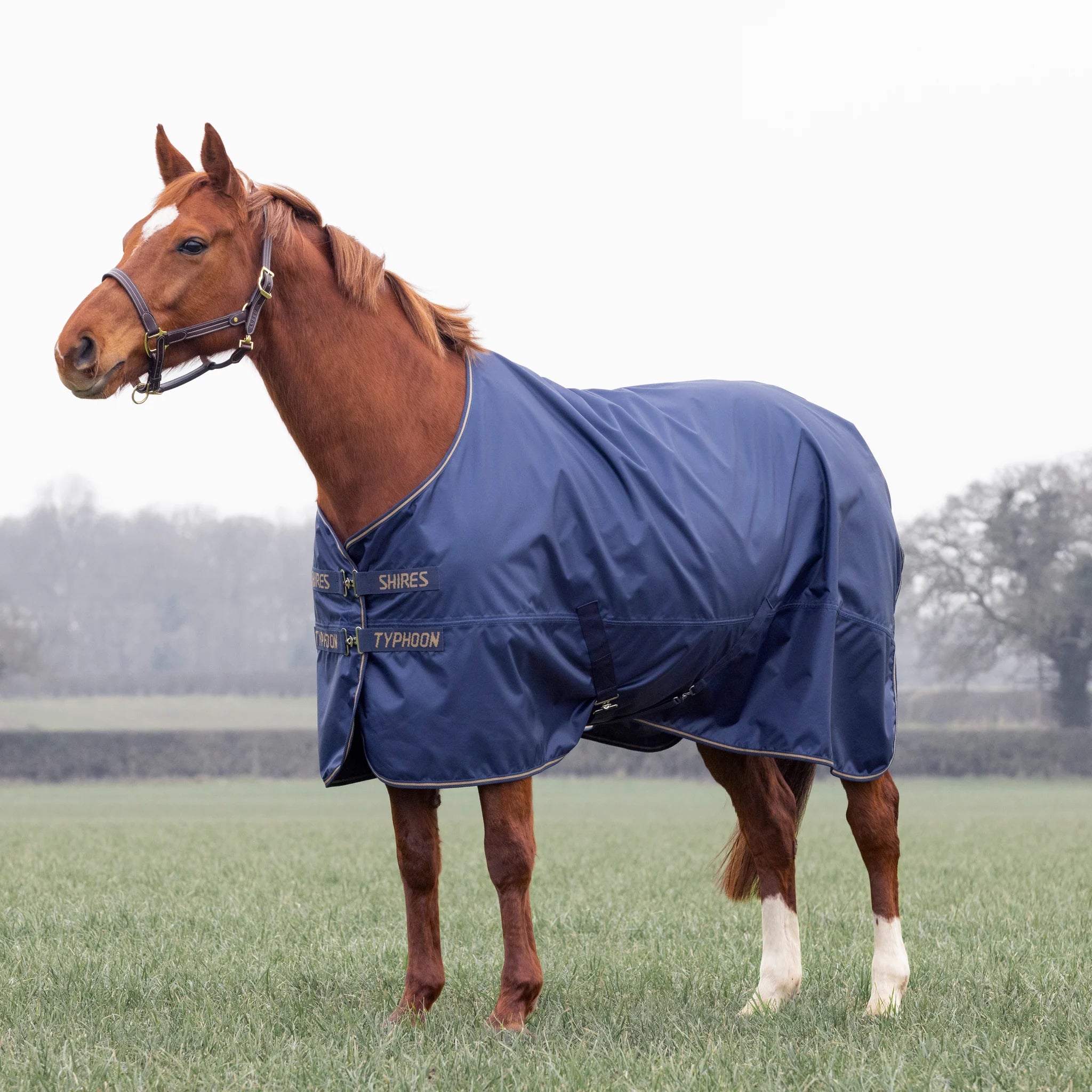 Shires Typhoon Lite No Fill 0G Lightweight Horse/Pony Turnout Rug, Navy or Green