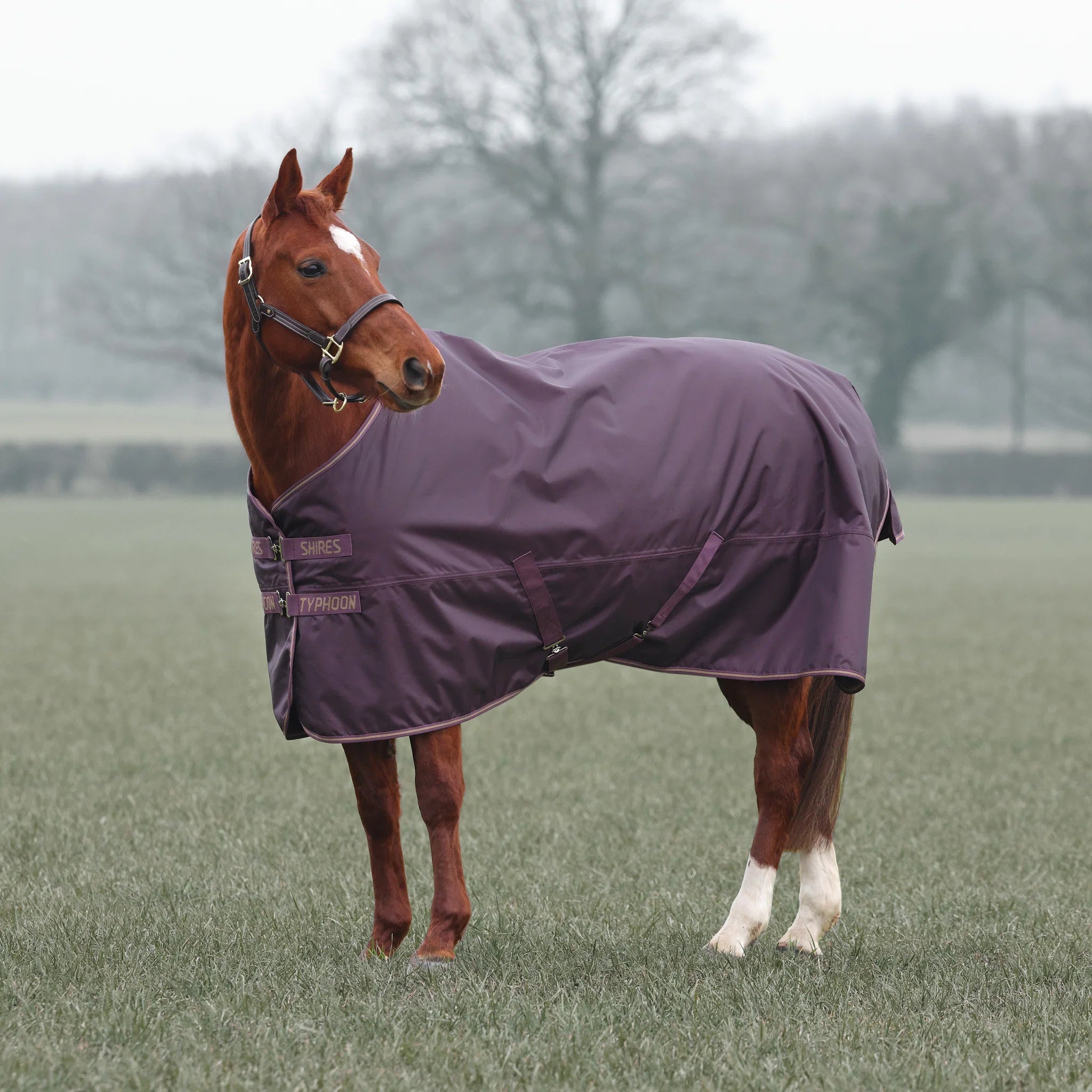 Shires Typhoon 100G Std Neck Lightweight Horse/Pony Turnout Rug
