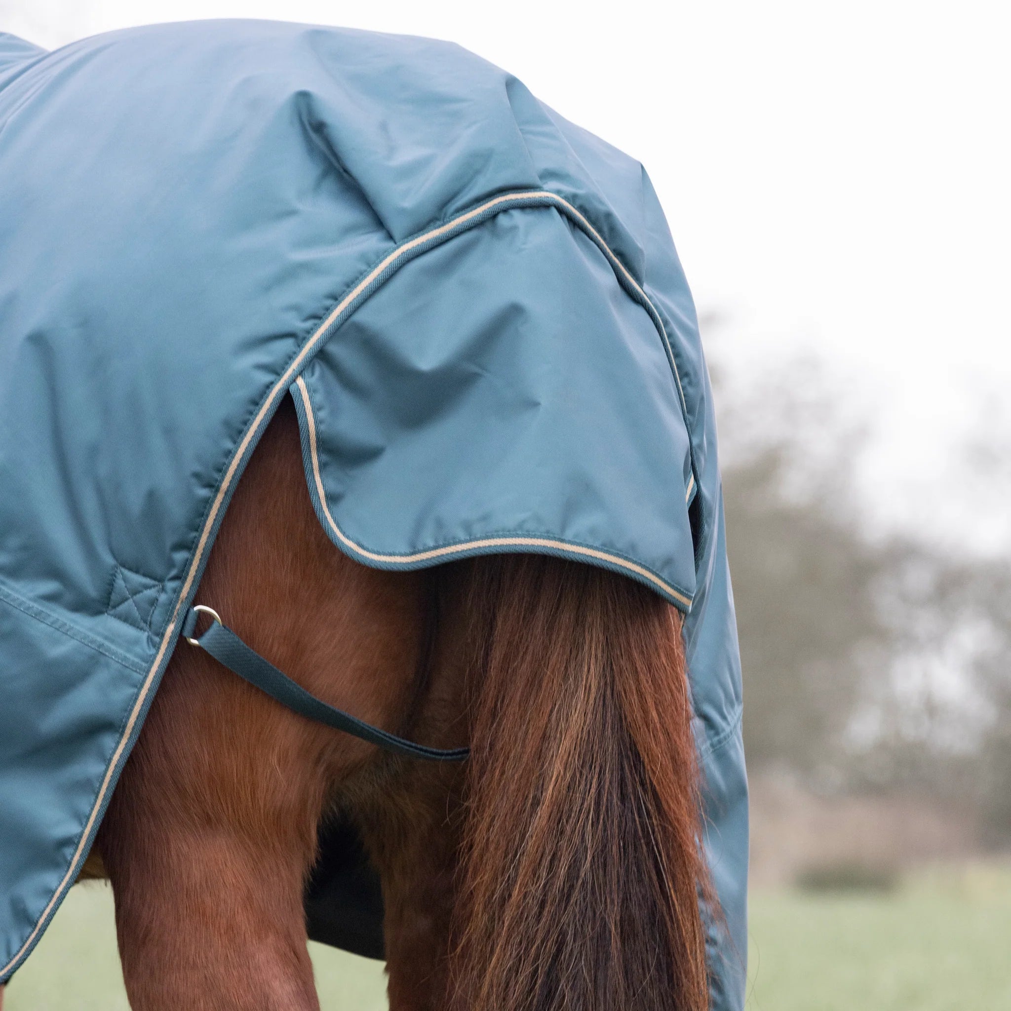 Shires Typhoon 200G Std Neck Mediumweight Horse/Pony Turnout Rug,