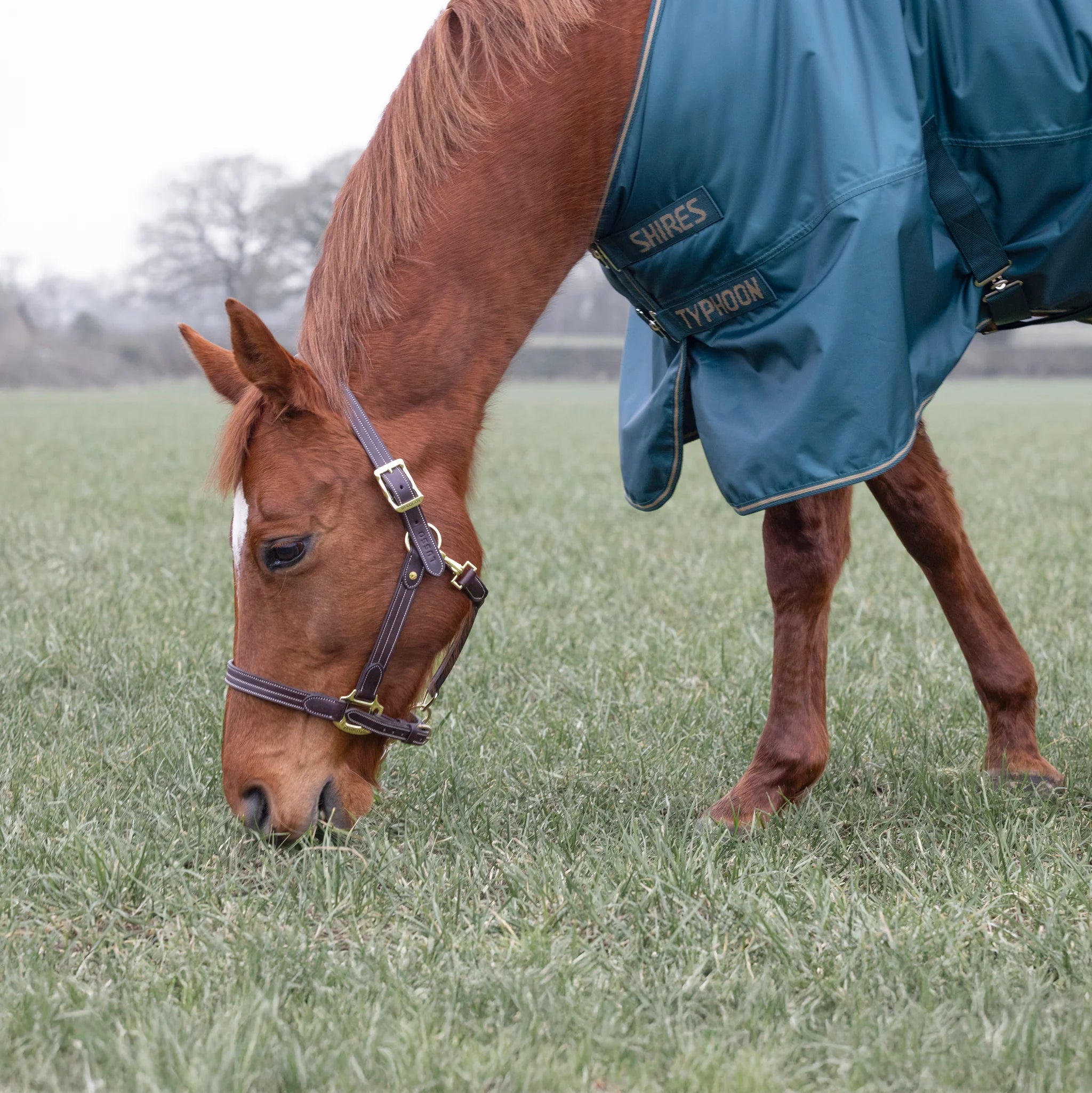 Shires Typhoon 200G Std Neck Mediumweight Horse/Pony Turnout Rug,