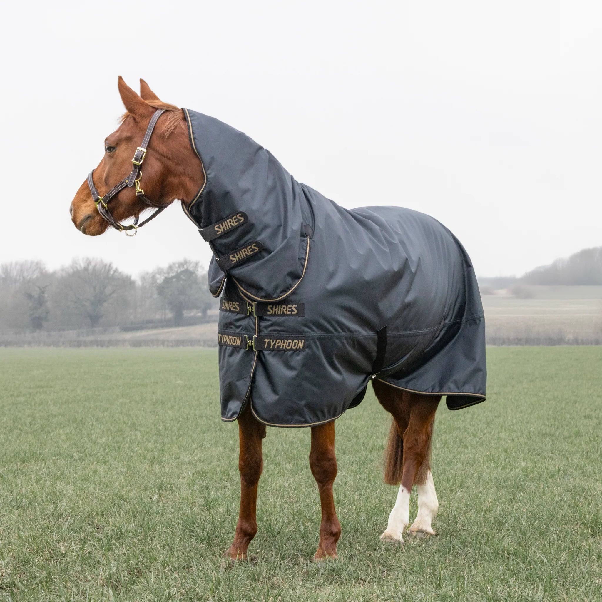 Shires Typhoon 50G Full Neck Combo Lightweight Horse/Pony Turnout Rug, Black