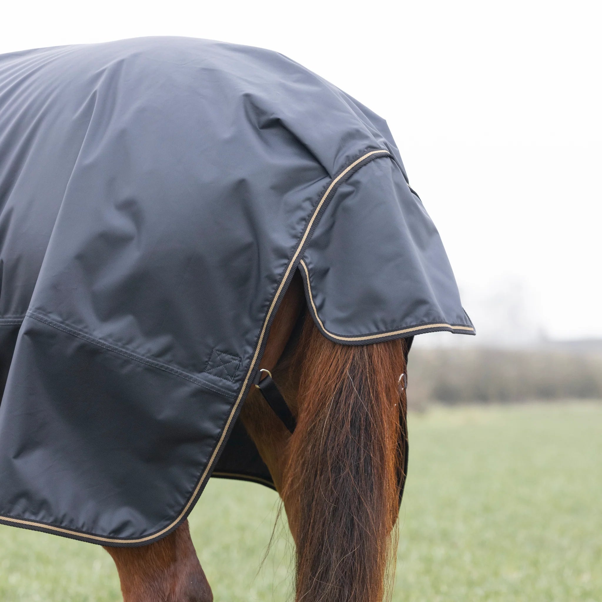 Shires Typhoon 50G Full Neck Combo Lightweight Horse/Pony Turnout Rug, Black