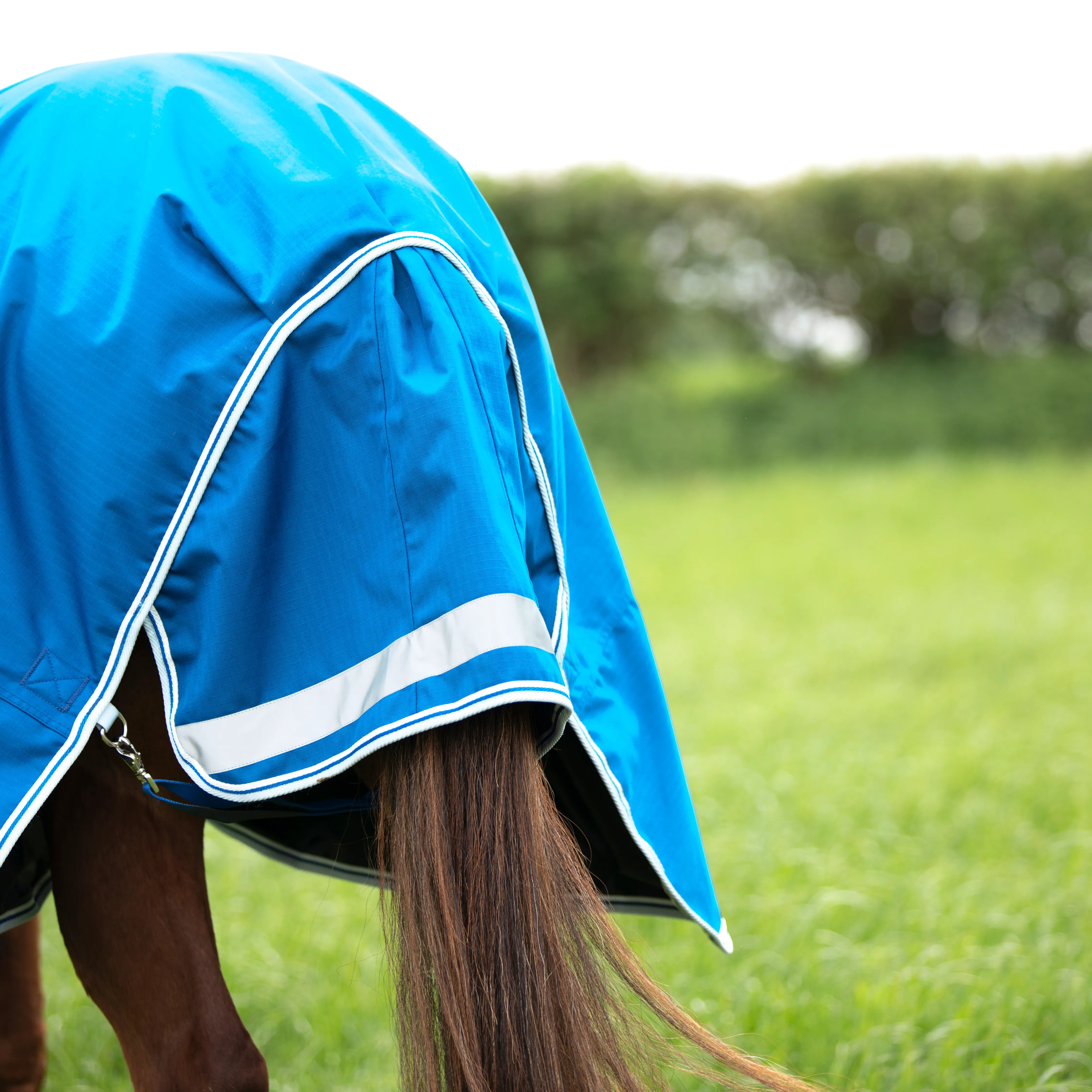 Shires Highlander 200g Horse/Pony Turnout Rug & Neck Set,  Detachable Neck, Blue