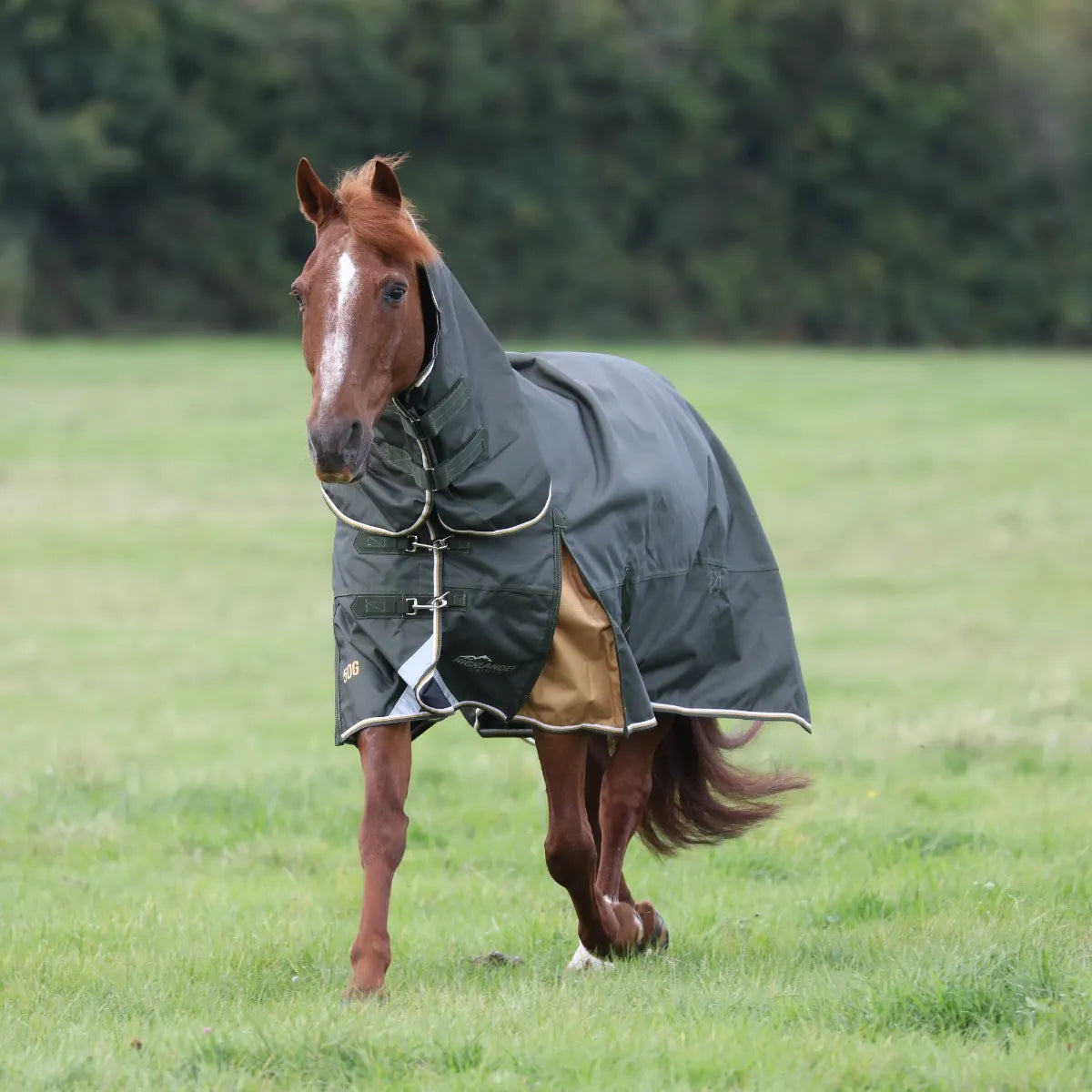 Shires Highlander Plus 50g Combo Turnout Rug, Lightweight, Full Neck, 1200d