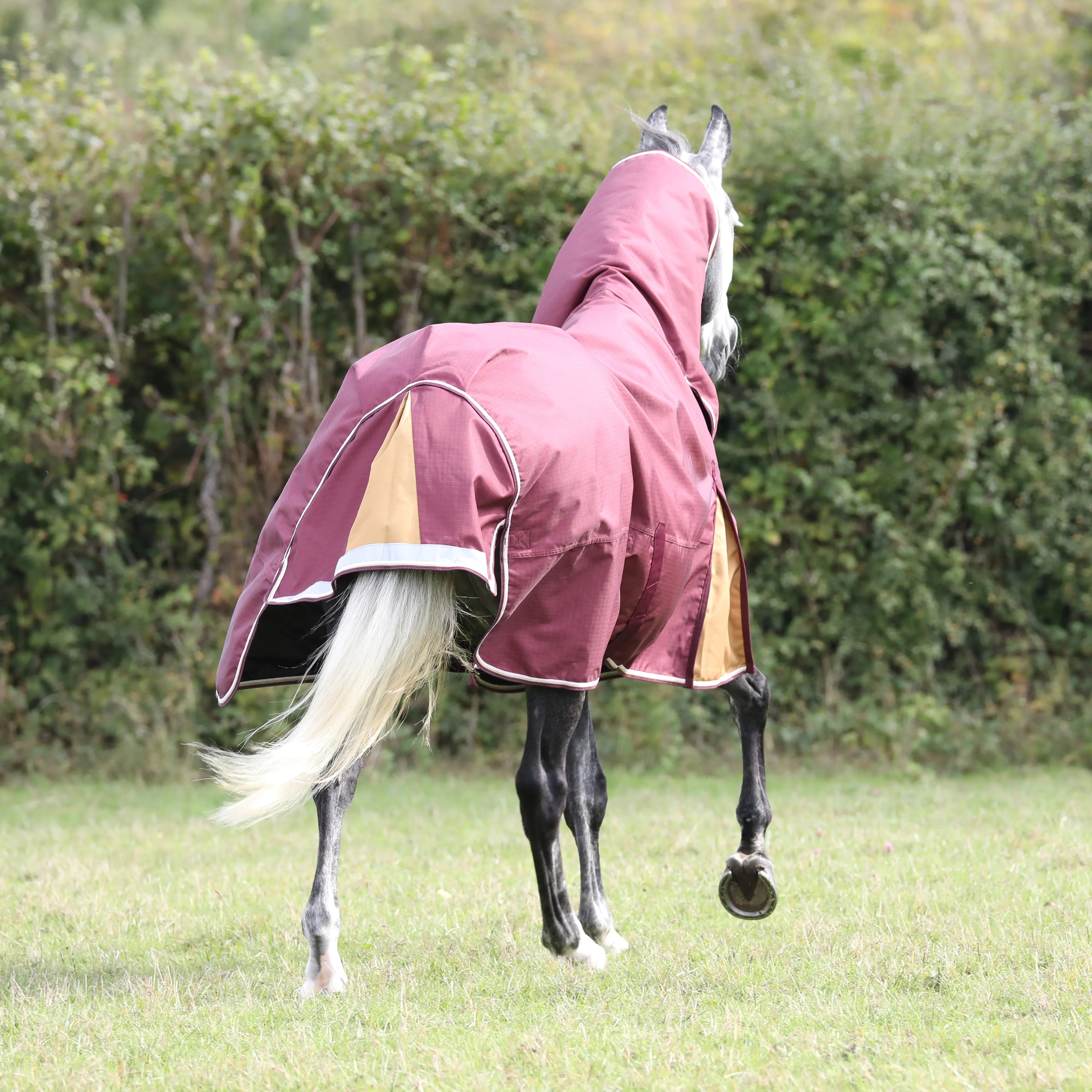 Shires Highlander Plus 100g Combo Turnout Rug, Lightweight, Full Neck, 1200d