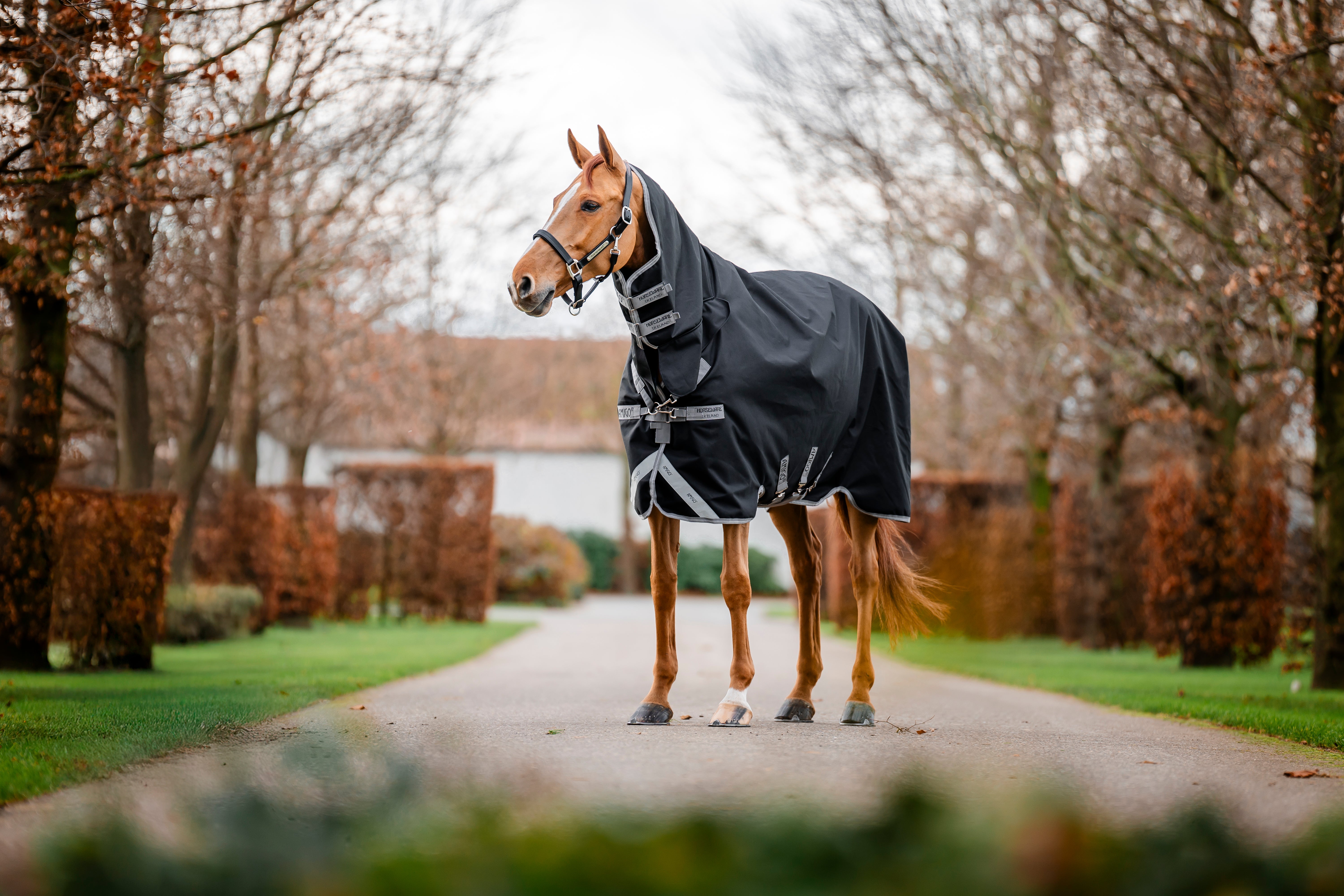 Horseware Amigo® 1200D Integrated 0g Lightweight Turnout Horse Rug,