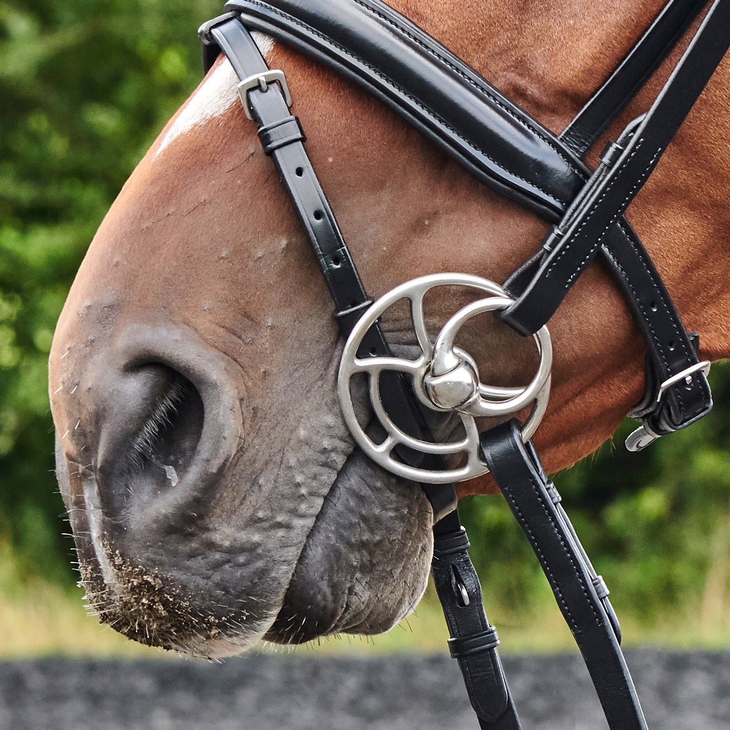 Whitaker Universal Bit with Snaffle Mouth , 2 Sizes