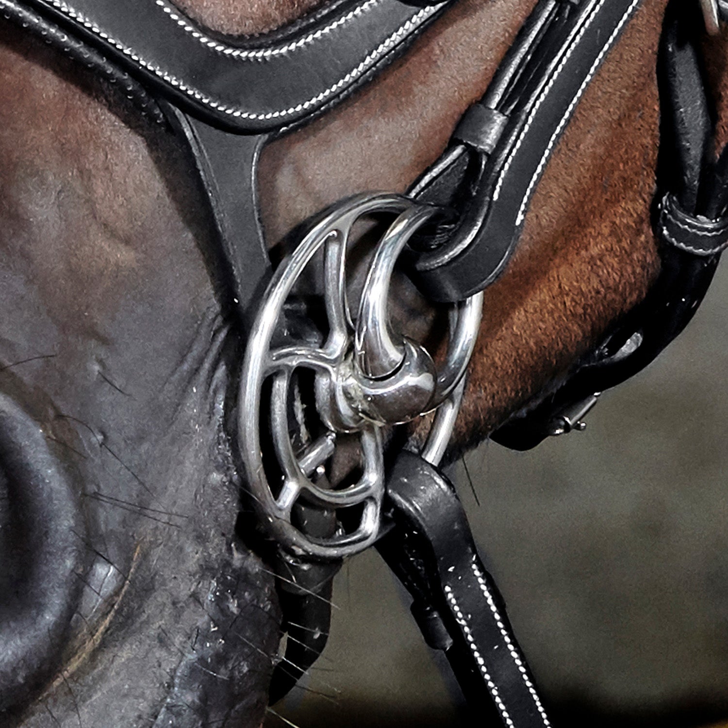 Whitaker Universal Bit with SS Bullet  Snaffle Mouth , 2 Sizes