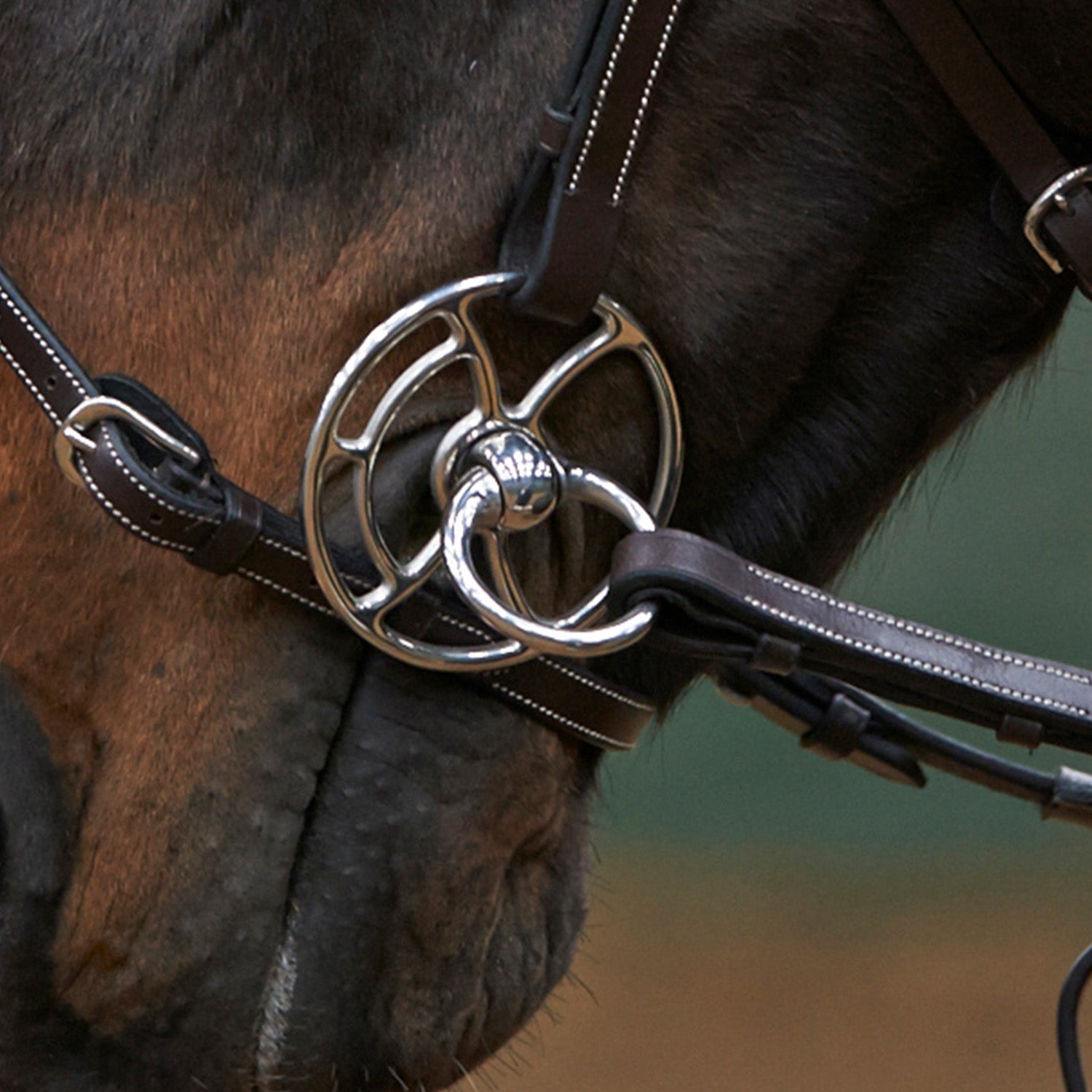 Whitaker Universal Bit with Copper Bullet Snaffle Mouth , 2 Sizes