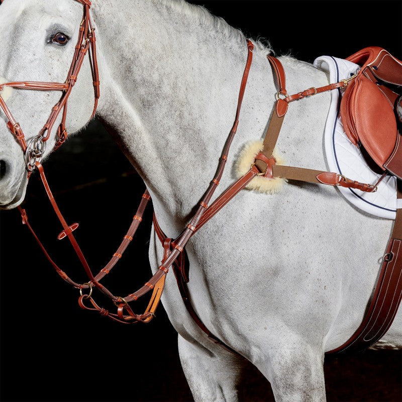 Whitaker Valencia 5 Point Breastplate , 2 Colours, 3 Sizes