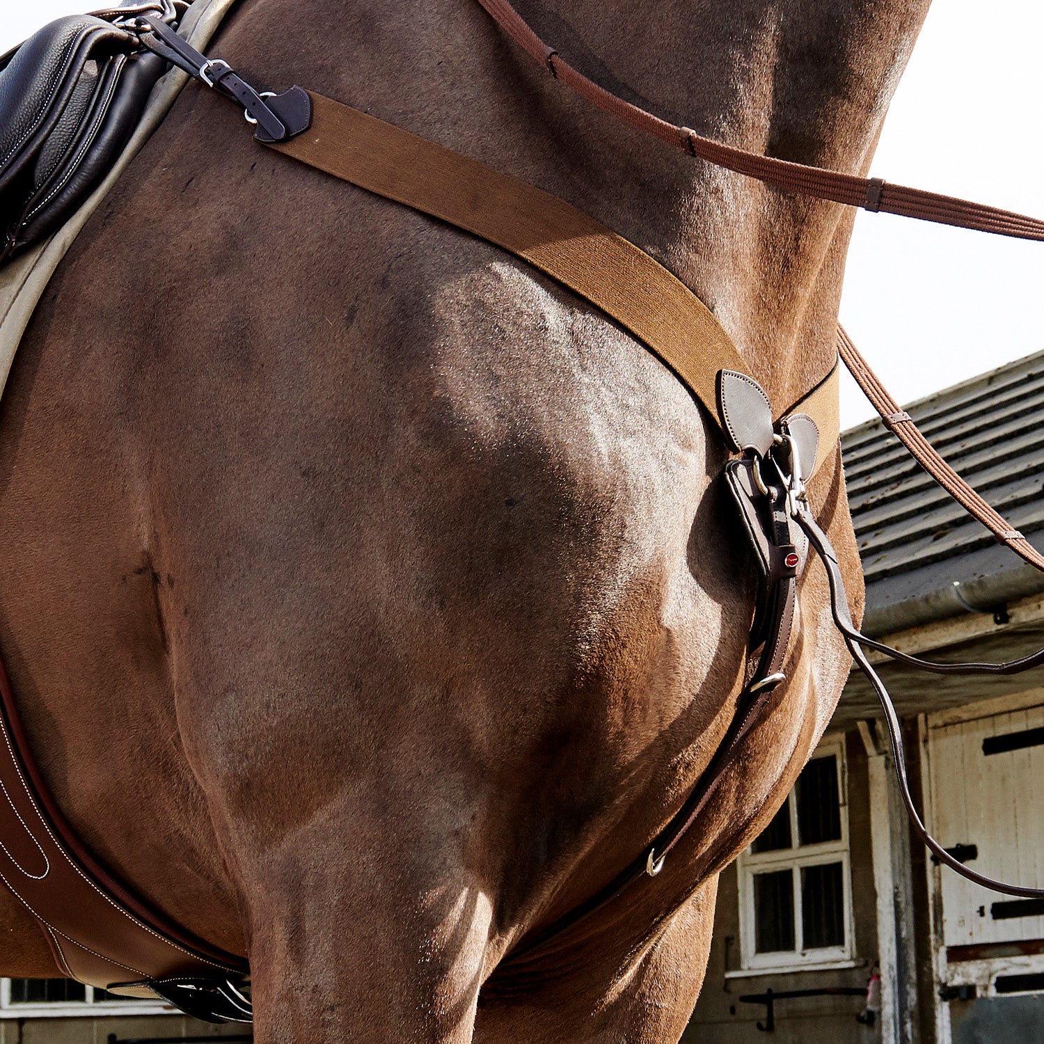 Whitaker Ready To Ride Elasticated Breastplate, 2 Colours, 4 Sizes