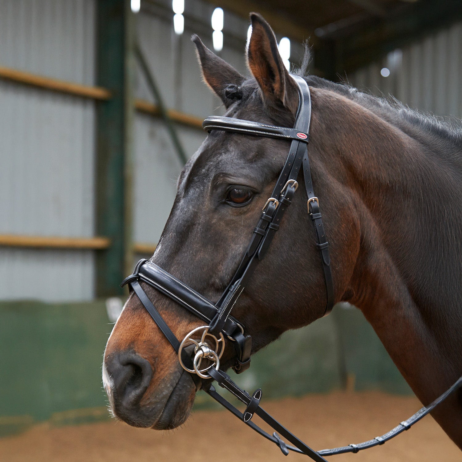 Whitaker Eastwood Crank Snaffle Bridle with Reins, 2 Colours, 3 Sizes