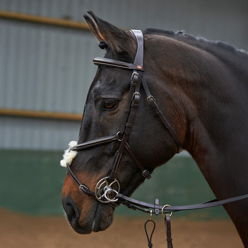 Whitaker Eastwood Mexican / Grackle Bridle with Reins, 2 Colours, 3 Sizes