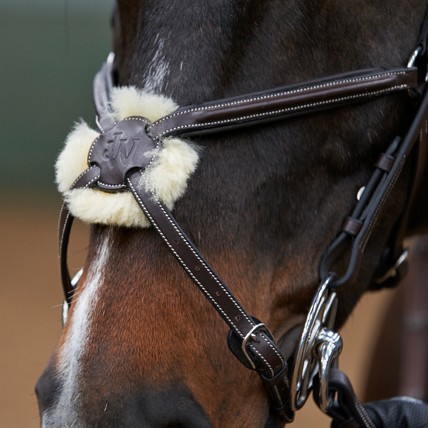 Whitaker Eastwood Mexican / Grackle Bridle with Reins, 2 Colours, 3 Sizes