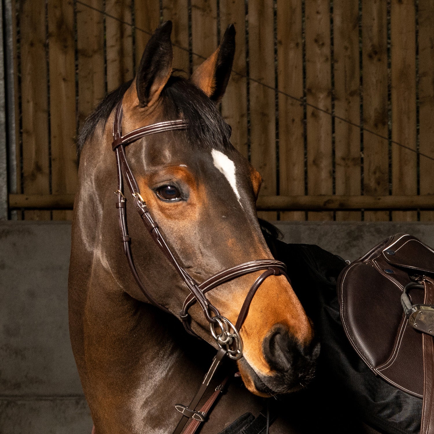 Whitaker Valencia Super Deluxe Flash Snaffle Bridle with Reins , 2 Colours