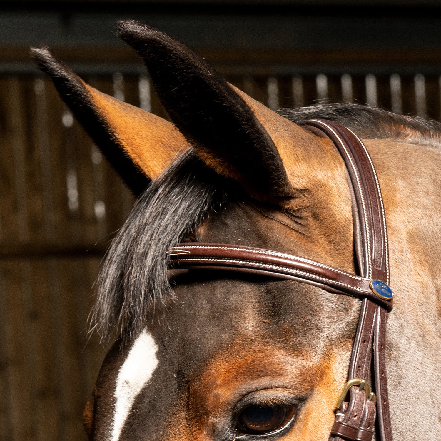Whitaker Valencia Super Deluxe Flash Snaffle Bridle with Reins , 2 Colours