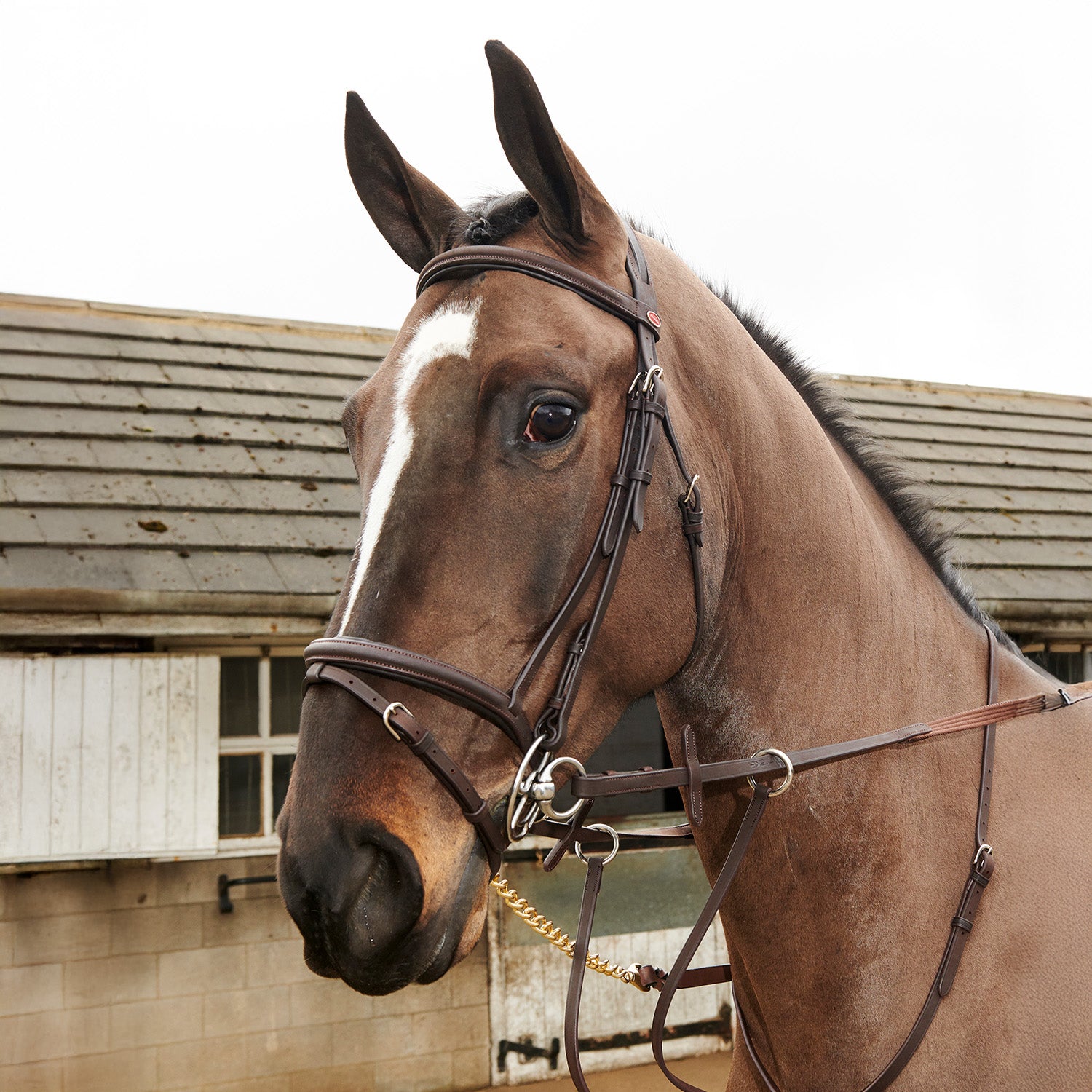 Whitaker Ready to Ride Leather Flash Snaffle Bridle  , 2 Colours, 4 Sizes