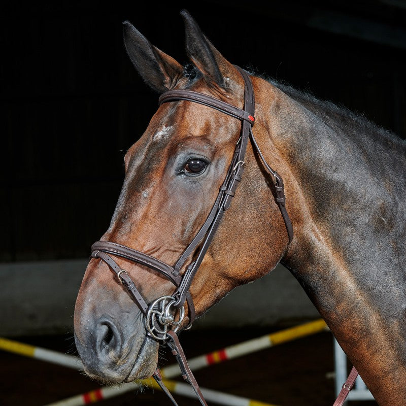 Whitaker Ready to Ride Leather Flash Snaffle Bridle  , 2 Colours, 4 Sizes