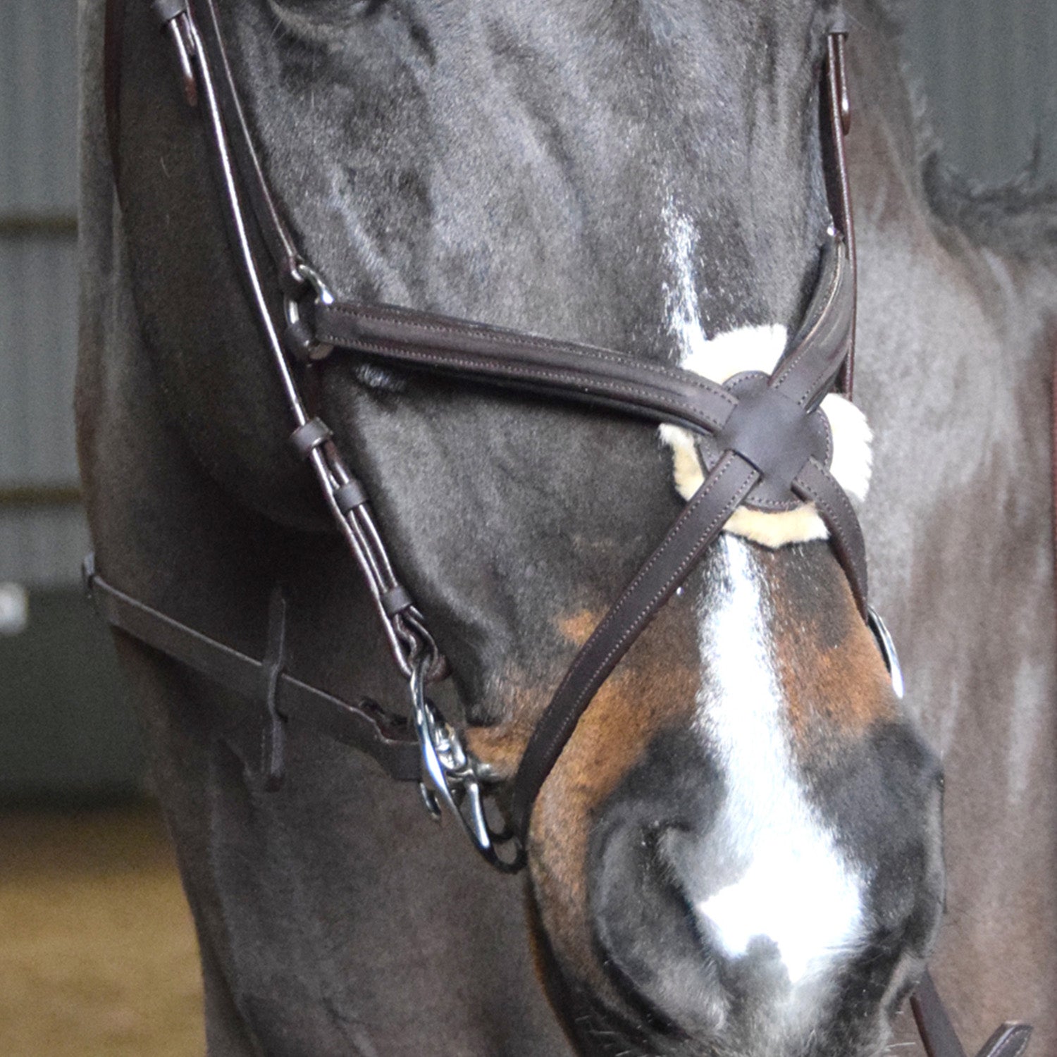 Whitaker Ready to Ride Mexican / Grackle Bridle  , 2 Colours, 4 Sizes