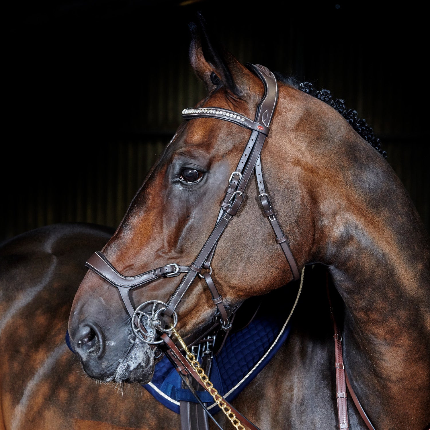 Whitaker Chicago Anatomic Breathable Snaffle Bridle with Reins 2 Colours 3 Sizes