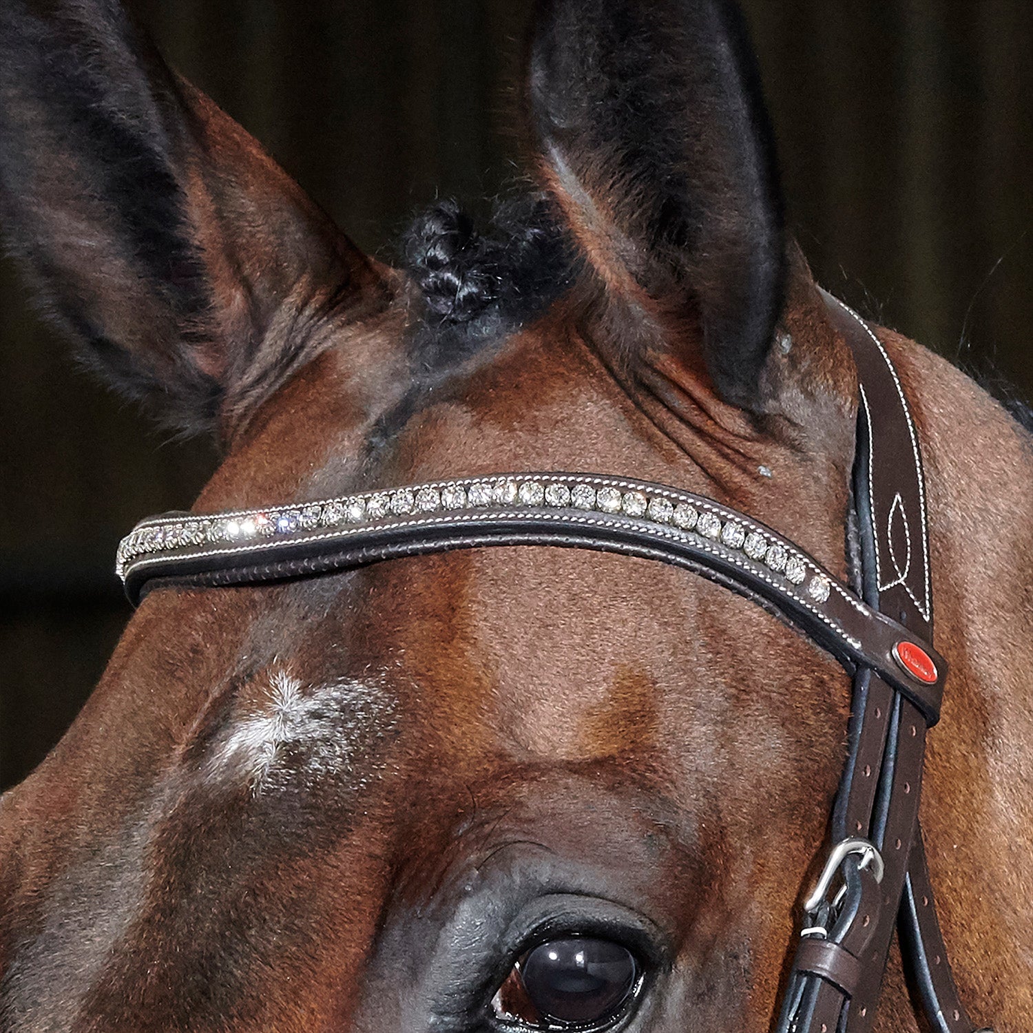 Whitaker Chicago Anatomic Breathable Snaffle Bridle with Reins 2 Colours 3 Sizes