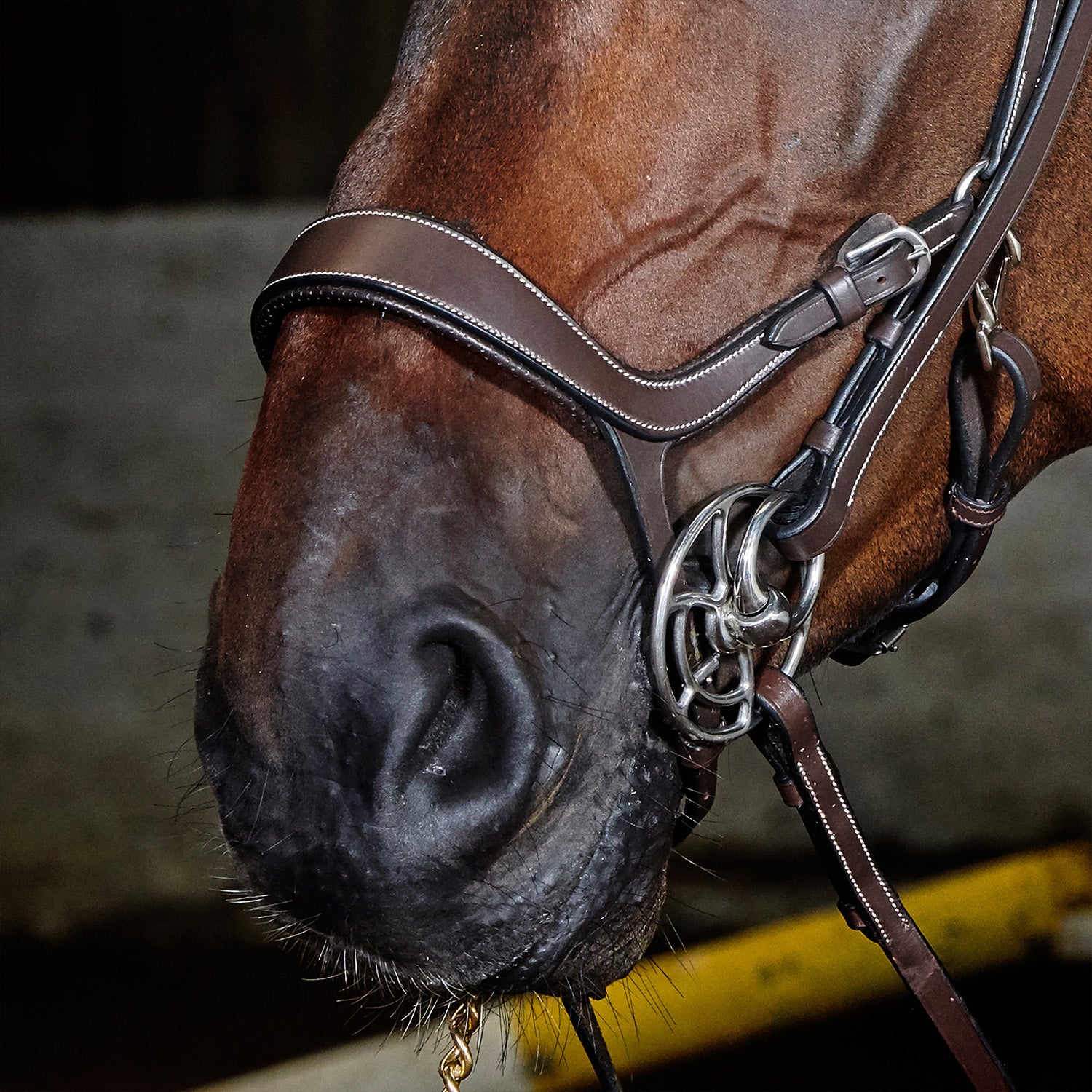 Whitaker Chicago Anatomic Breathable Snaffle Bridle with Reins 2 Colours 3 Sizes