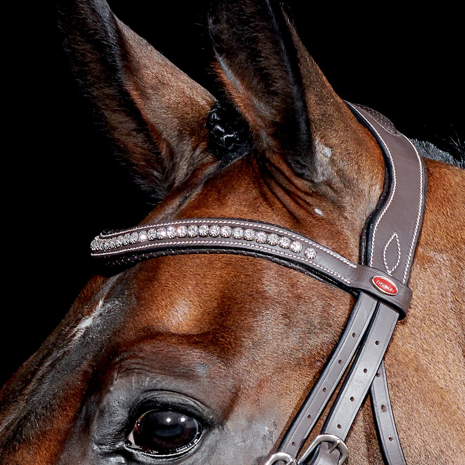Whitaker Chicago Bling Flash Snaffle Bridle + Reins, 2 Colours, 3 Sizes