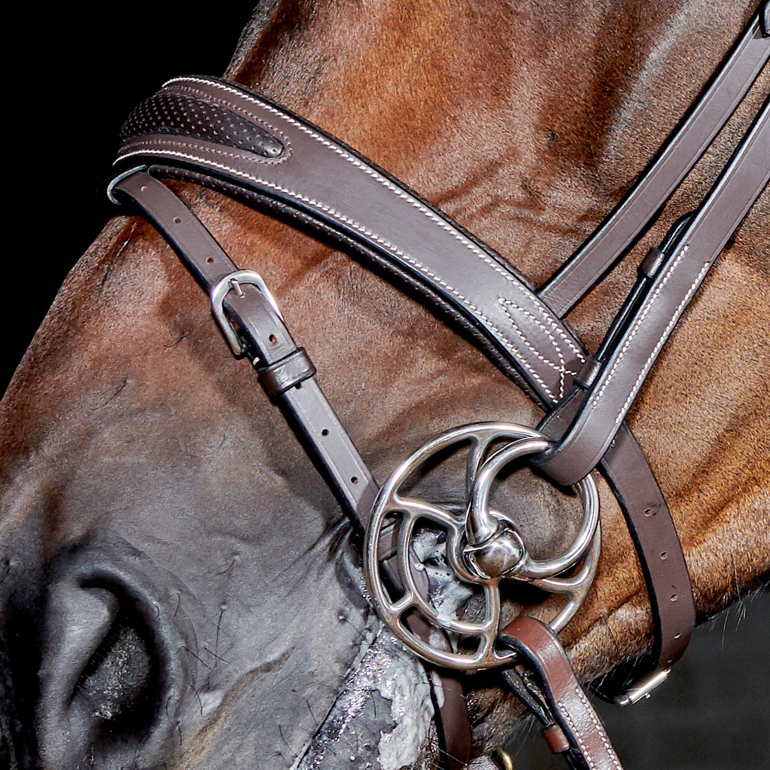 Whitaker Chicago Bling Flash Snaffle Bridle + Reins, 2 Colours, 3 Sizes