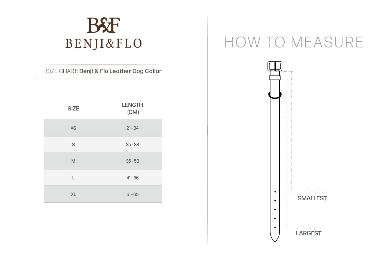 Leather Dog Collar by Benji & Flo, Deluxe Padded Leather Dog Collar, 2 Colours