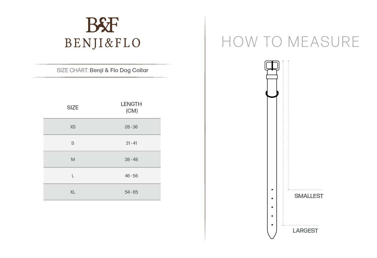 Leather Dog Collar by Benji & Flo, Sublime Polo Leather Dog Collar,  3 Colours