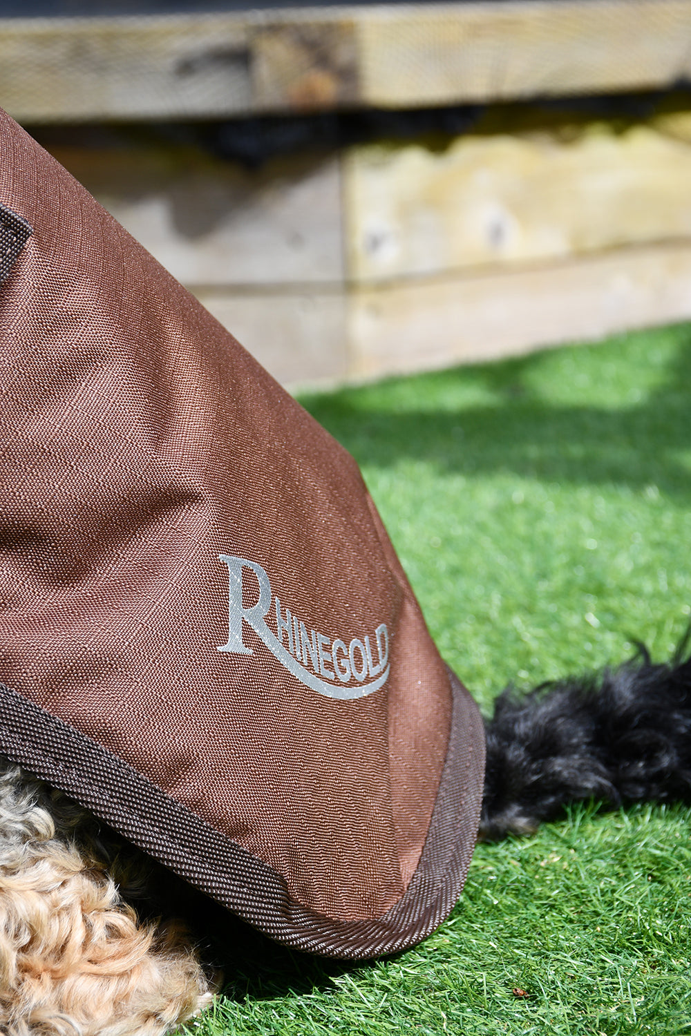 Rhinegold Waterproof Dog Coat, Outdoor, 12 Sizes,  2 Colours