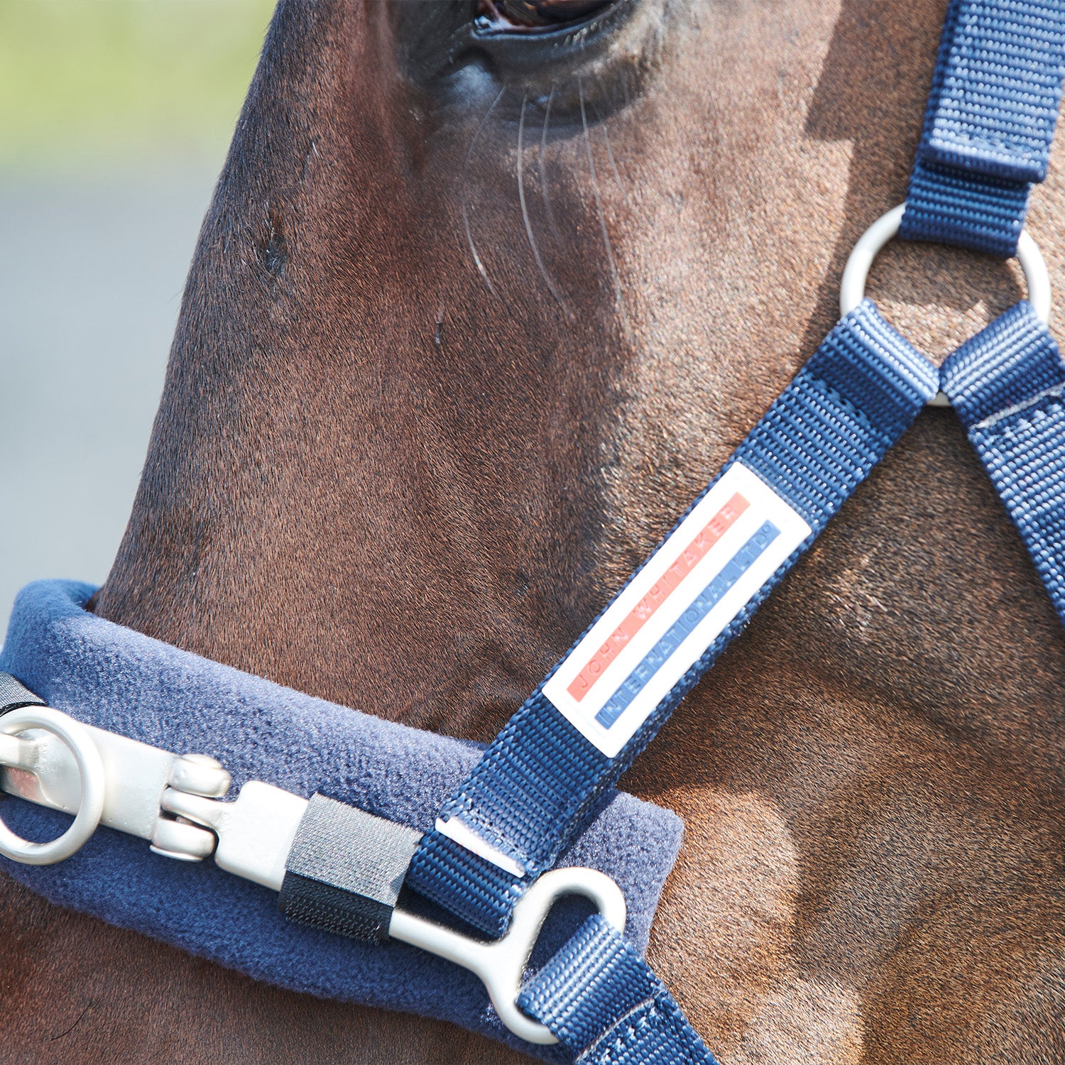 Whitaker Lunge Cavesson,  Lunging, Horse Training, Navy, 2  Sizes