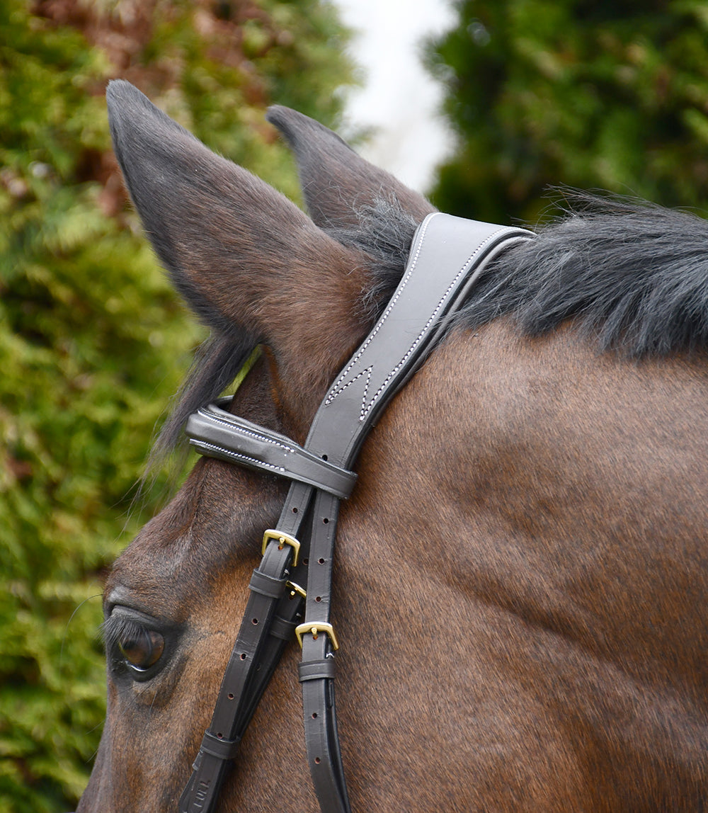 Rhinegold Elegance Wide Stitch Anatomical Leather Bridle,  2 Colours, 4 Sizes