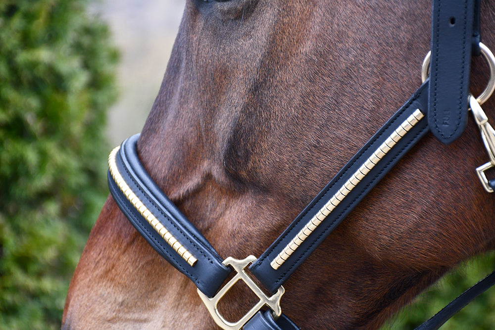 Rhinegold Bellagio Leather Headcollar With Brass Clincher Detailing, 2 Colours