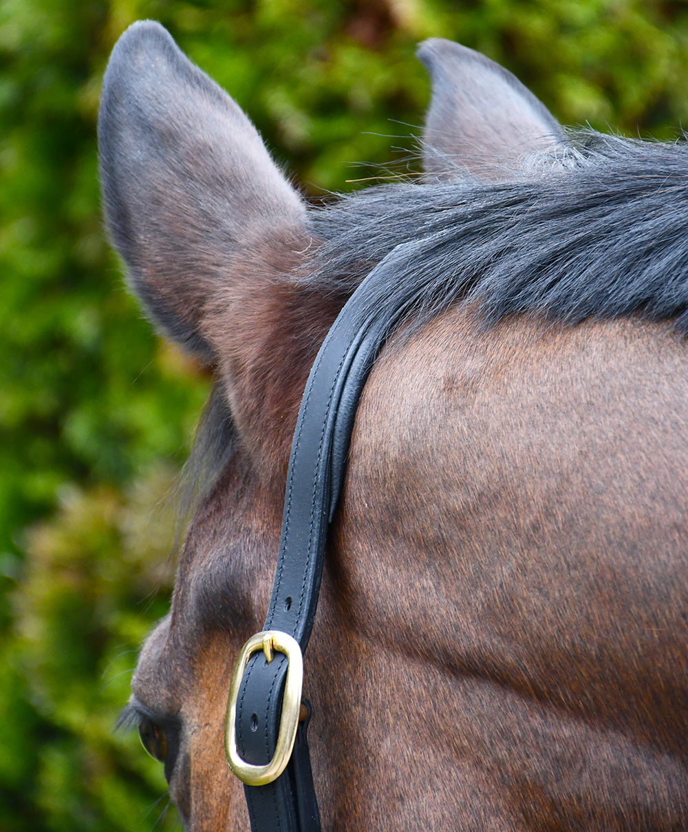 Rhinegold Bellagio Leather Headcollar With Brass Clincher Detailing, 2 Colours