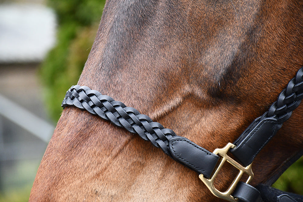 Rhinegold Lazio Plaited Leather Headcollar With Matching Leather Lead, Black.