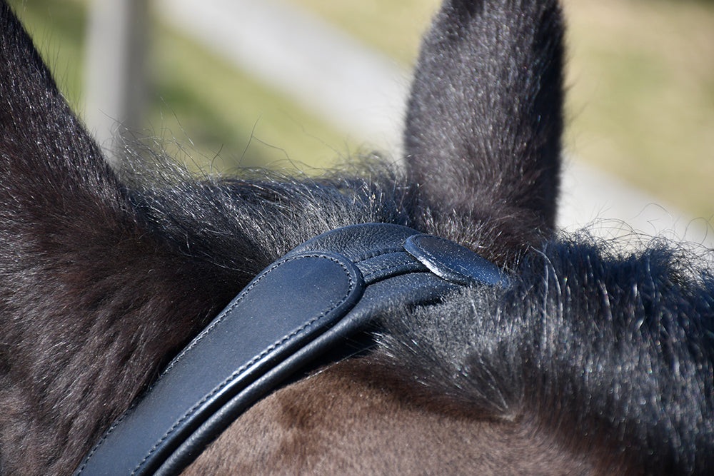 Rhinegold Leather Lunge Cavesson,  Black, 4 Sizes