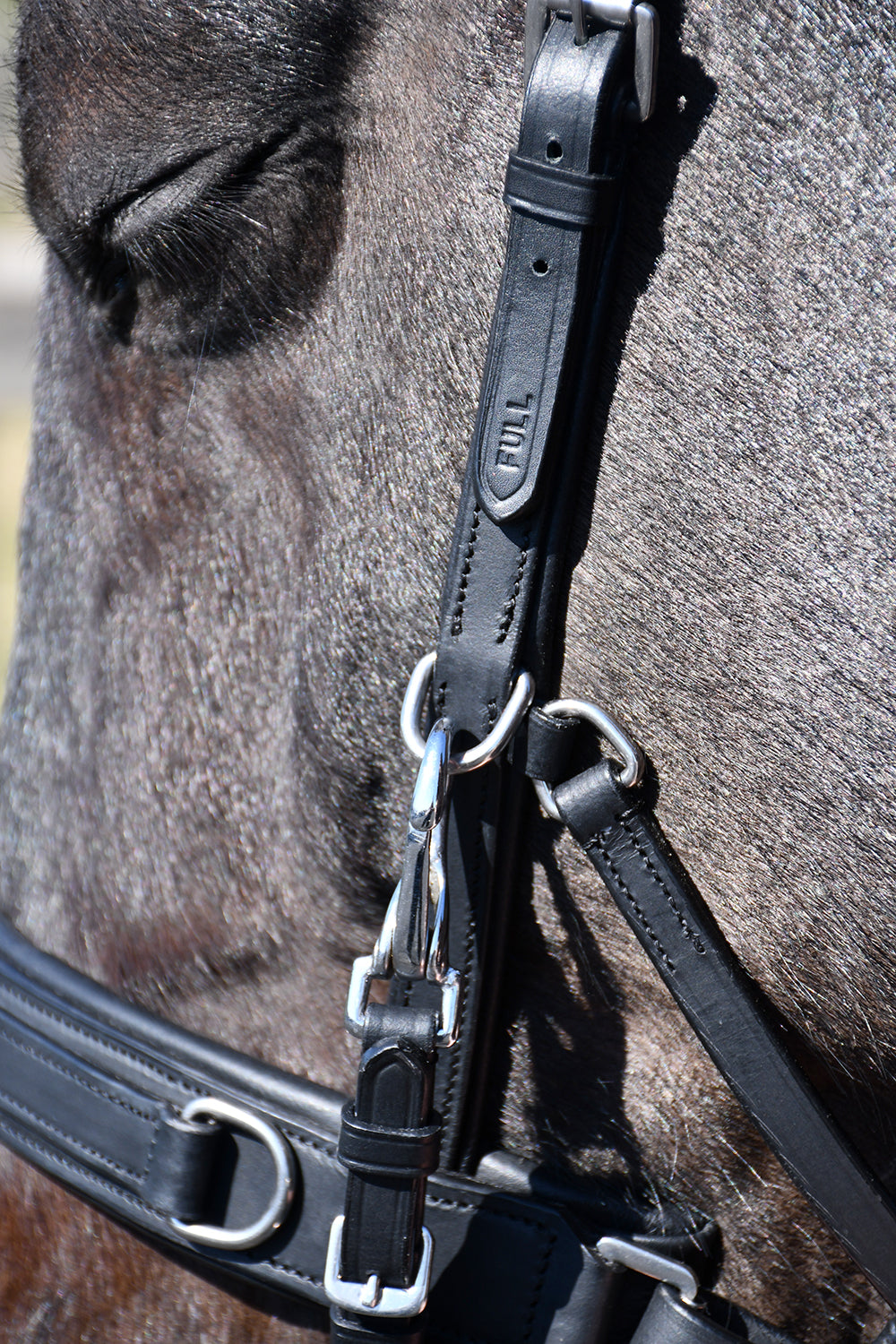 Rhinegold Leather Lunge Cavesson,  Black, 4 Sizes