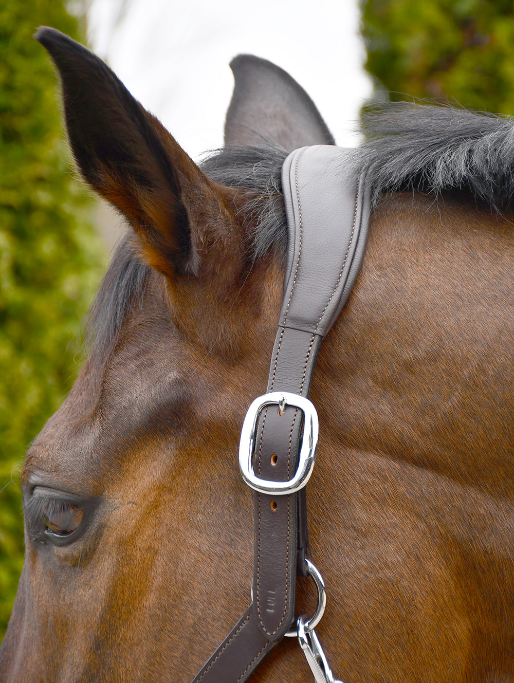 Rhinegold Softee Pro-Anatomical Leather Headcollar
