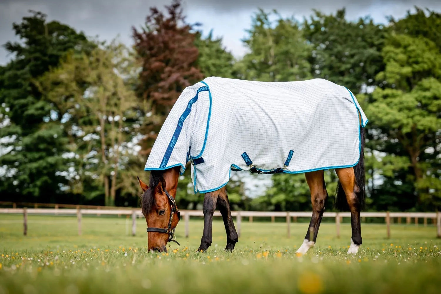 Horseware Amigo Aussie Allrounder Horse Summer Sheet,  Fly Rug, UV Protection