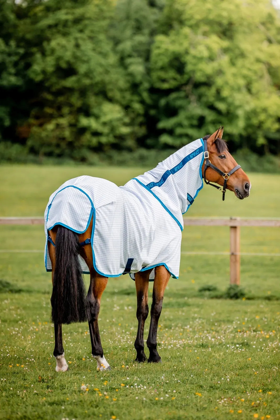 Horseware Amigo Aussie Allrounder Horse Summer Sheet,  Fly Rug, UV Protection