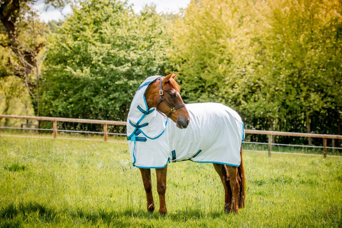Horseware Amigo Aussie Allrounder Disc Fastening UV Fly Rug