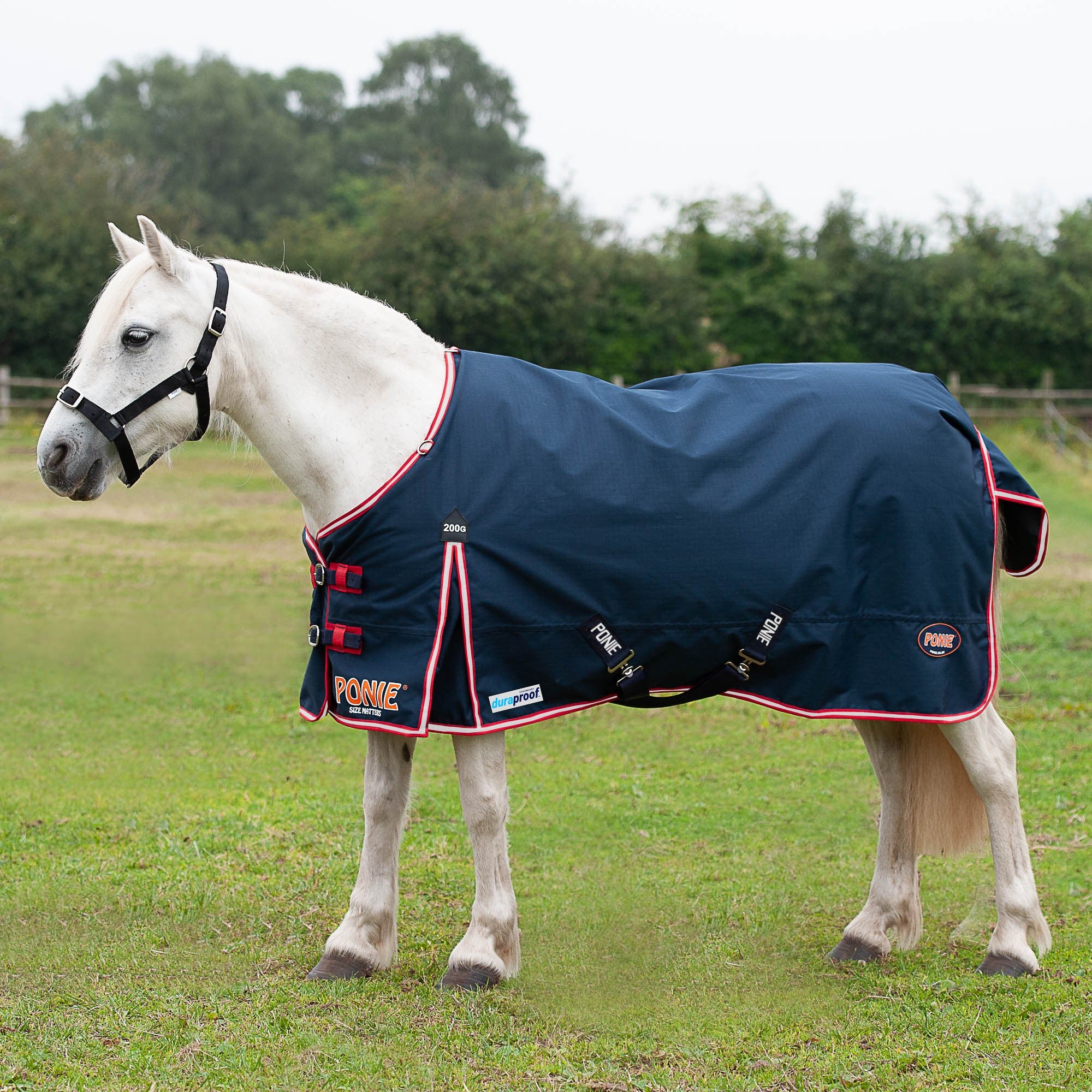 Gallop Trojan / Ponie Duraproof 200g Horse Turnout Rug Std Neck Mediumweight Rug