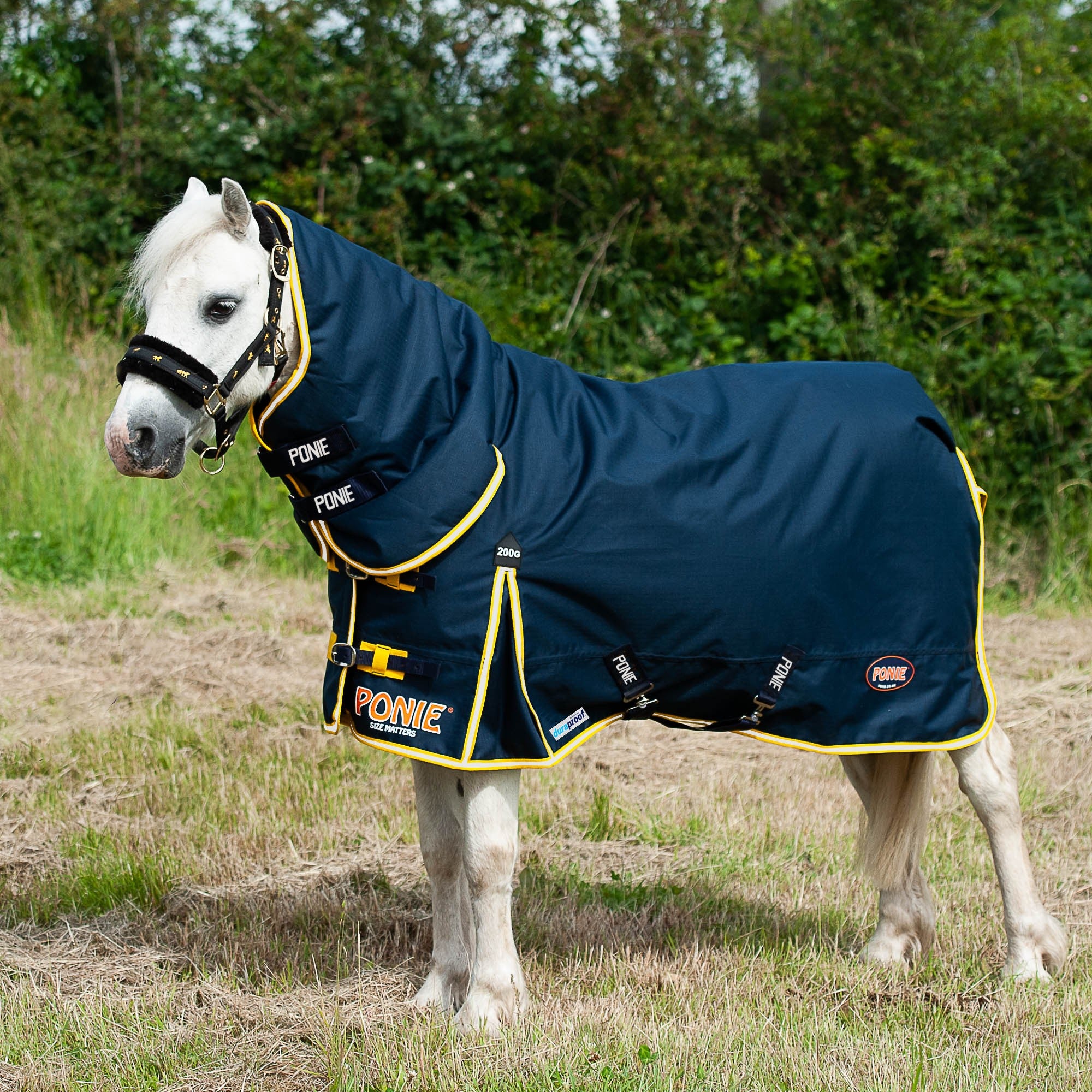 Gallop Trojan / Ponie 200G Duraproof Horse Turnout Rug Full Neck Combo