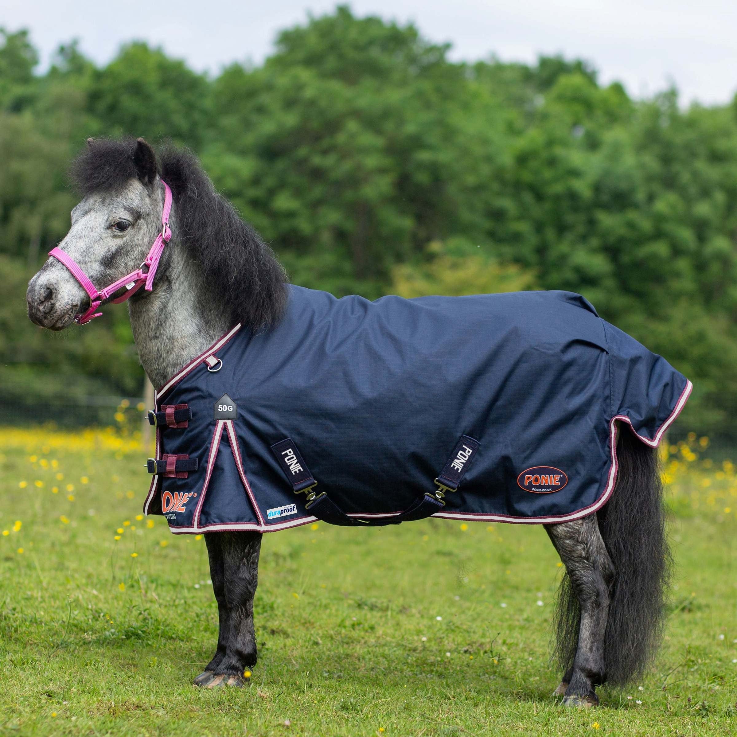 Gallop Trojan Duraproof 50g Horse Turnout Rug, Std Neck Lightweight Rug